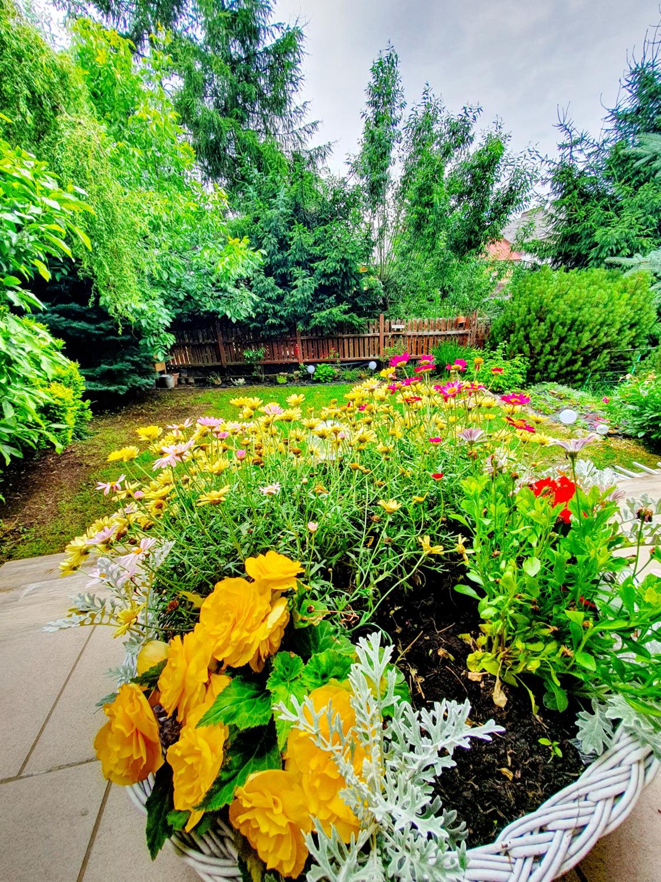 NOWY Apartament 1 przy Termach Cieplickich