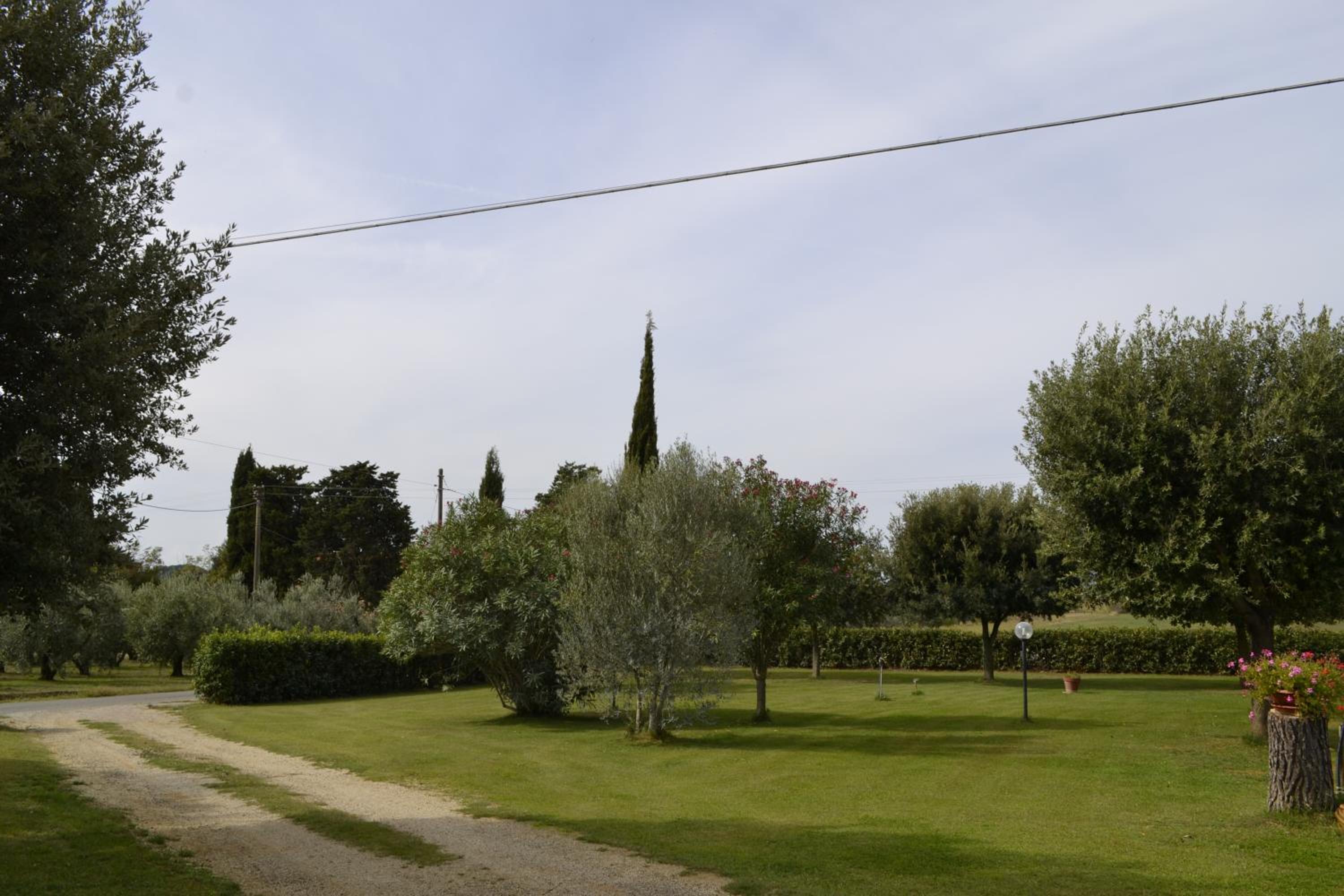 Photo 29