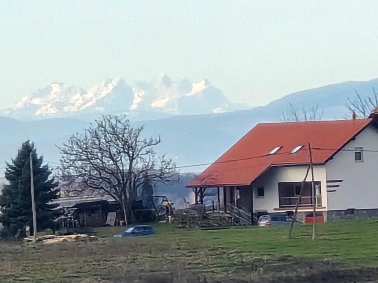 Apartma Minka