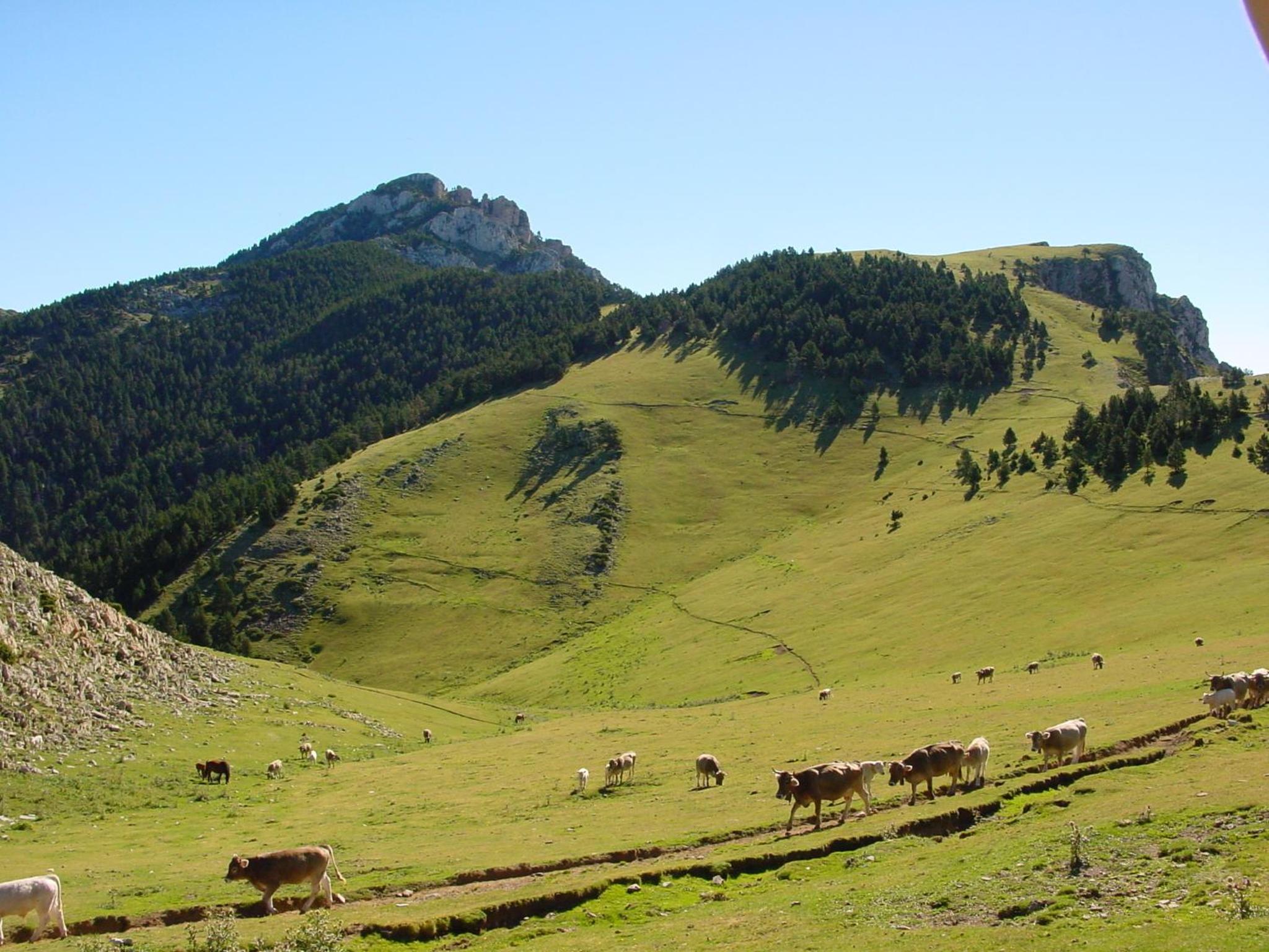 Hostal Cal Batista