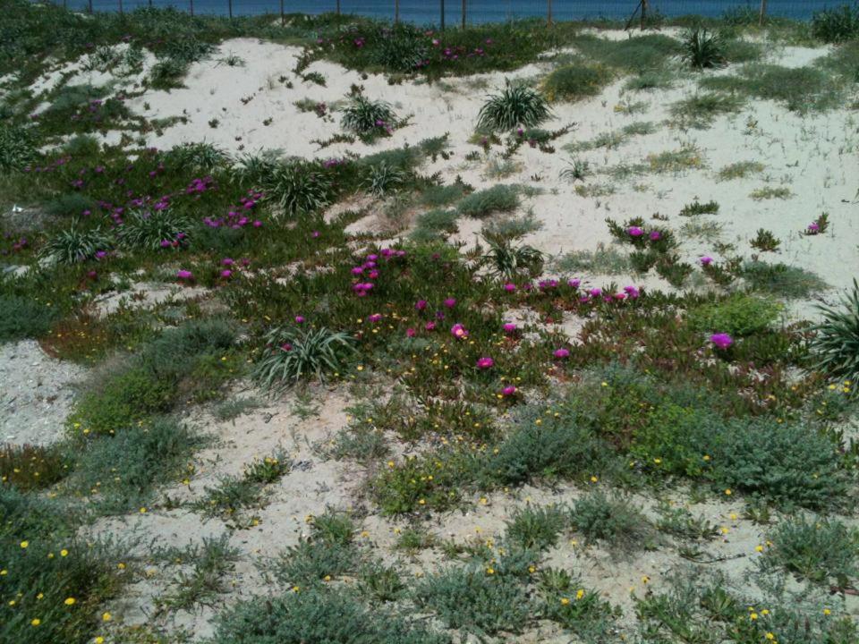 Camping Golfo dell'Asinara