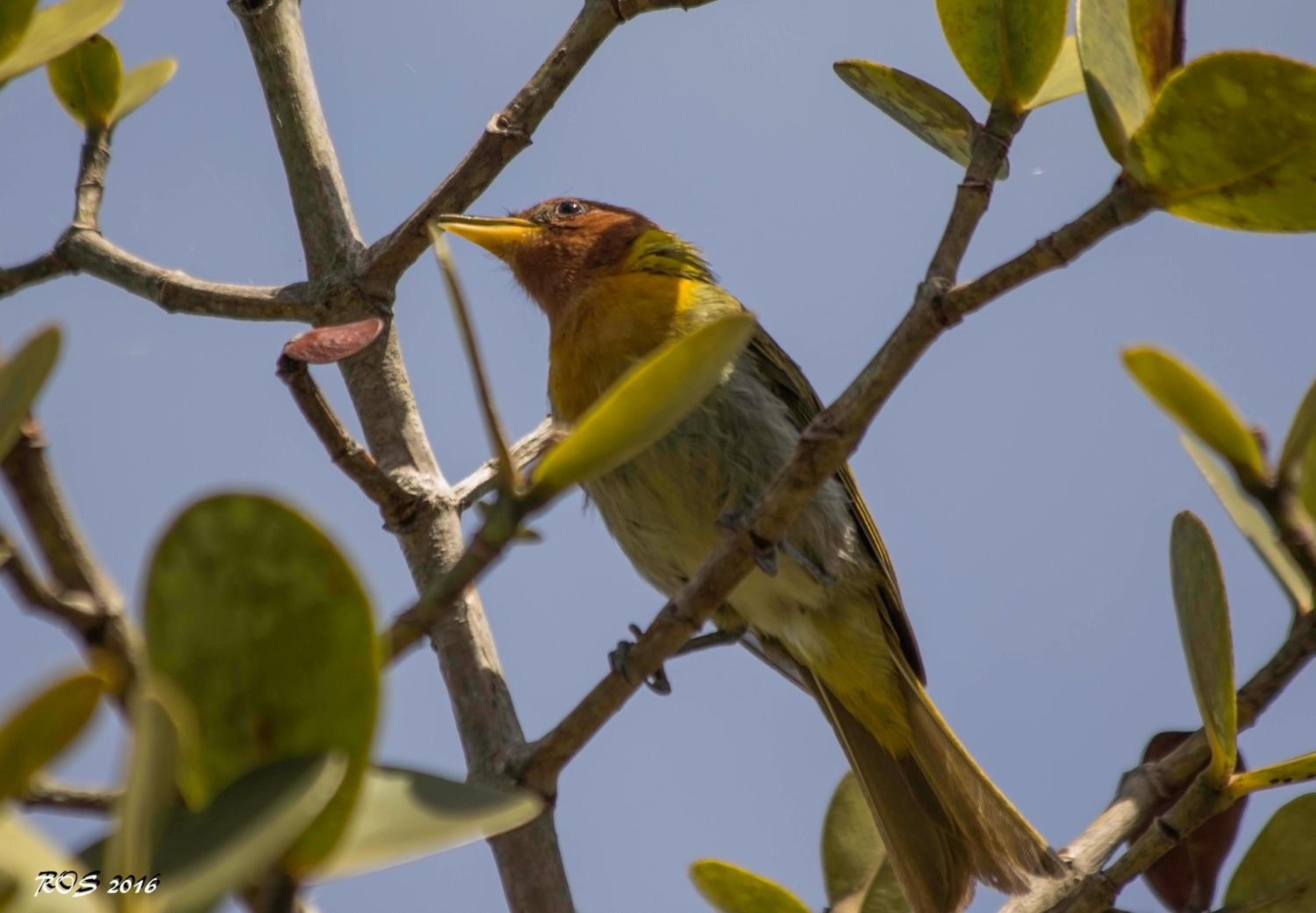 Pousada Pedra Azul