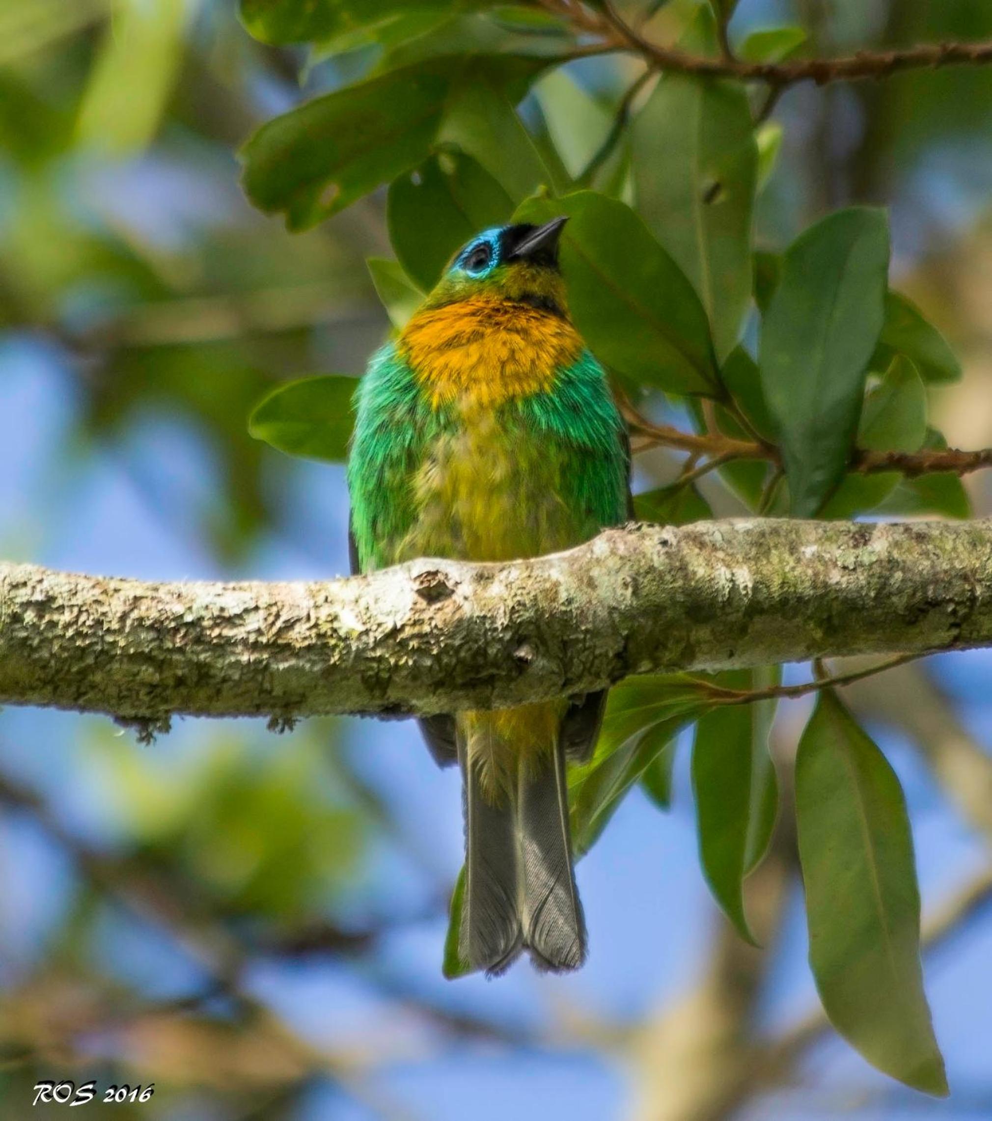 Pousada Pedra Azul