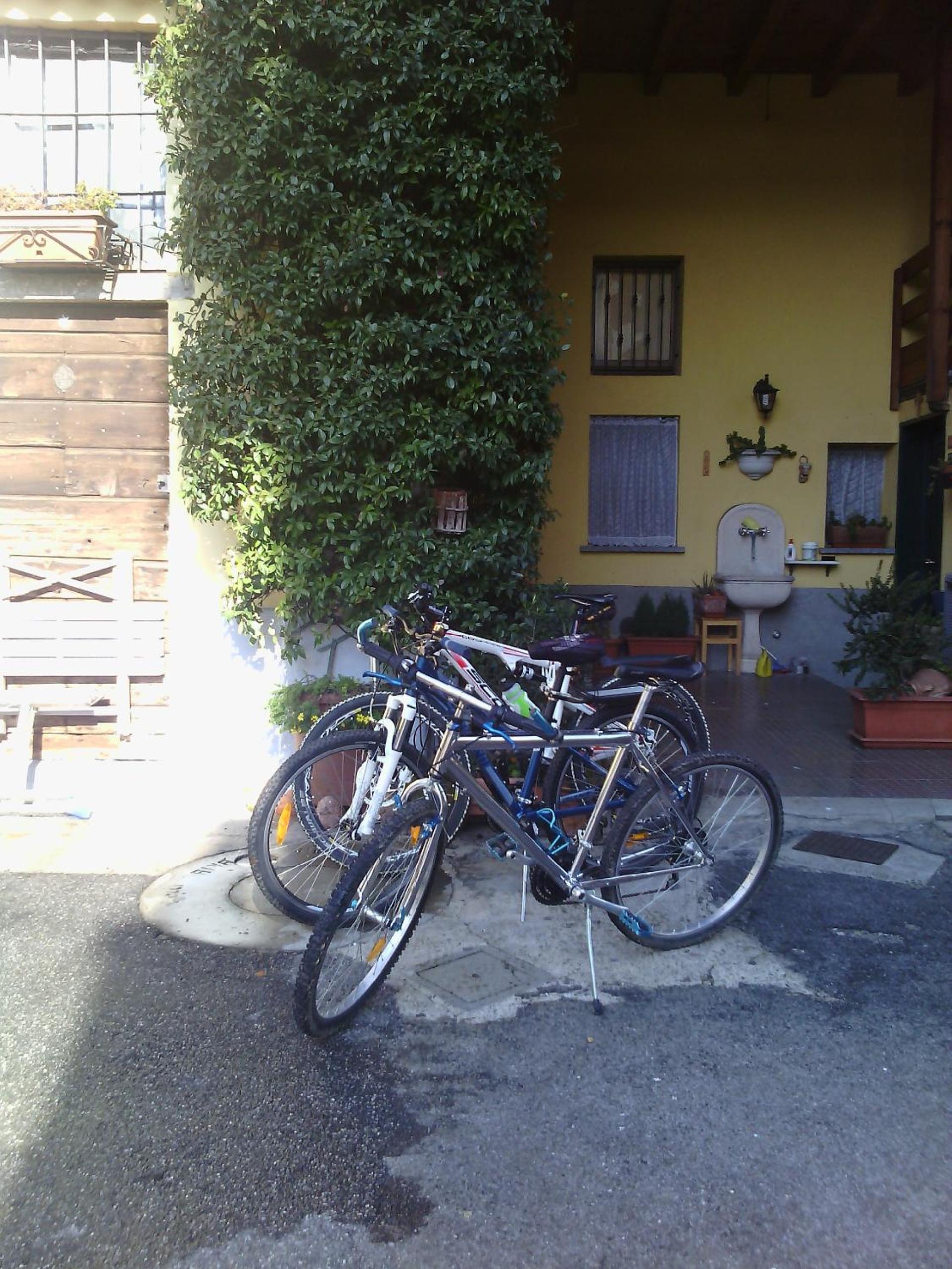 B&b Rosy