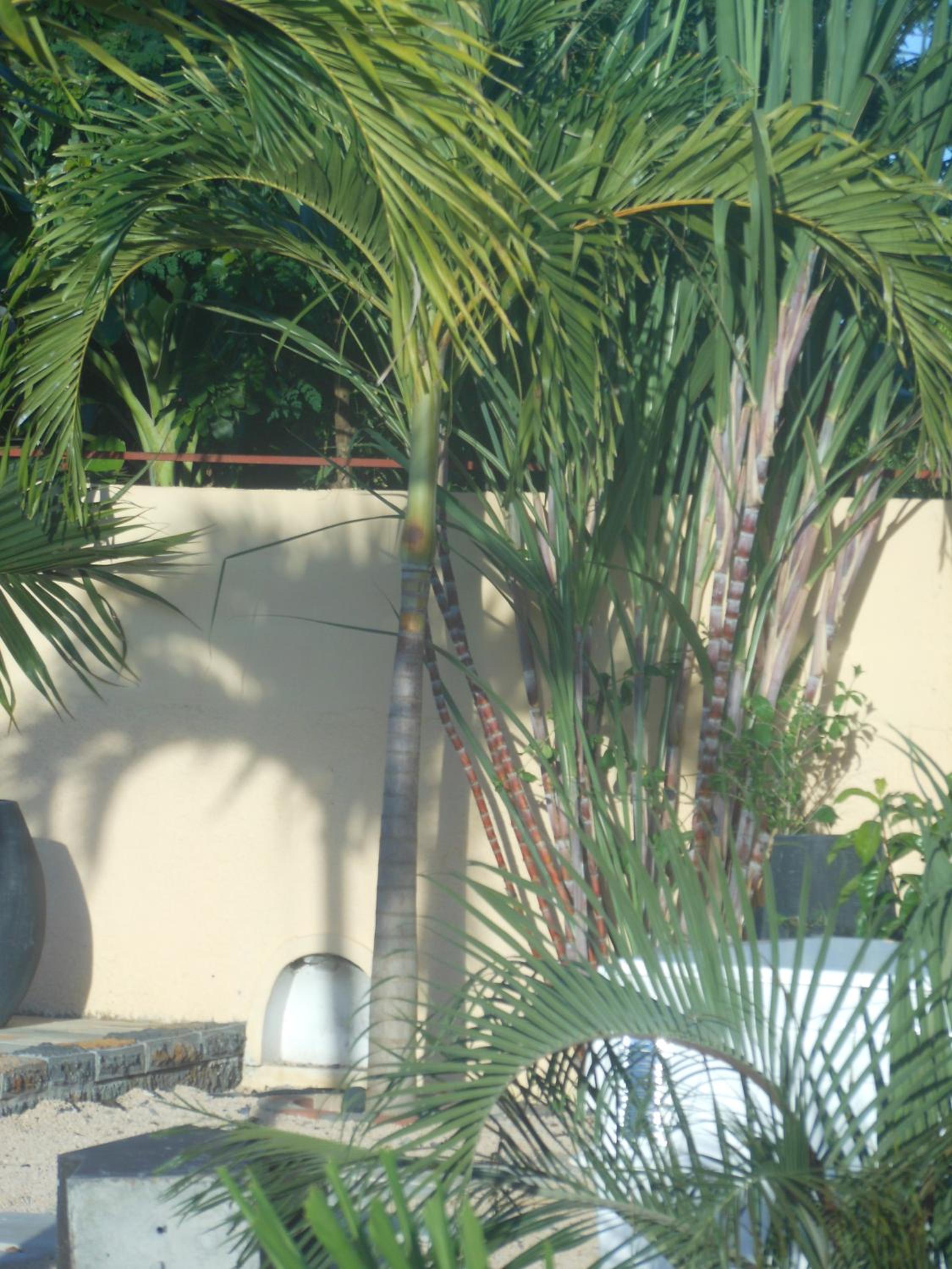 Jolie Villa Santa avec piscine photo 3