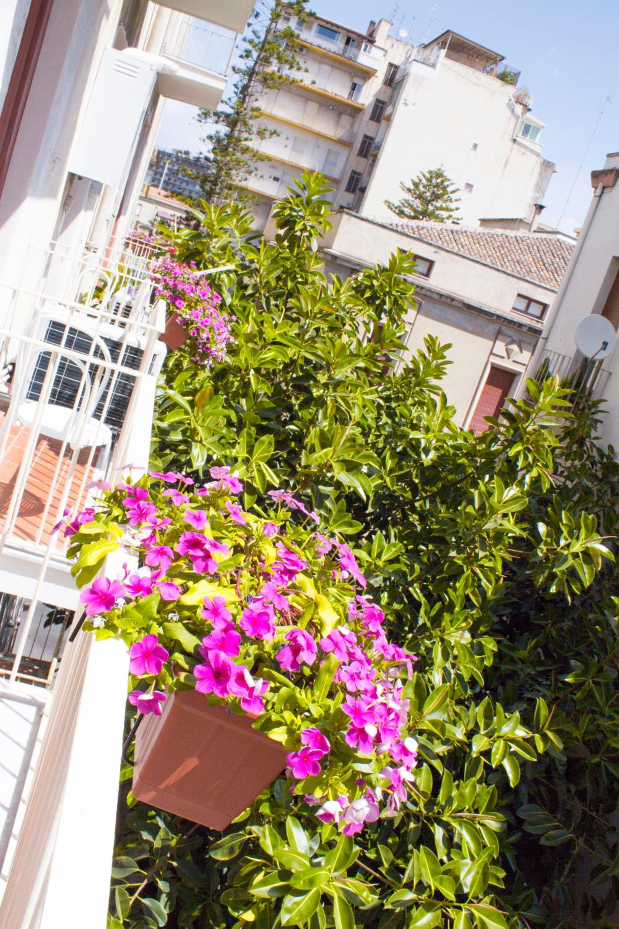 B&B Miro Centro Catania