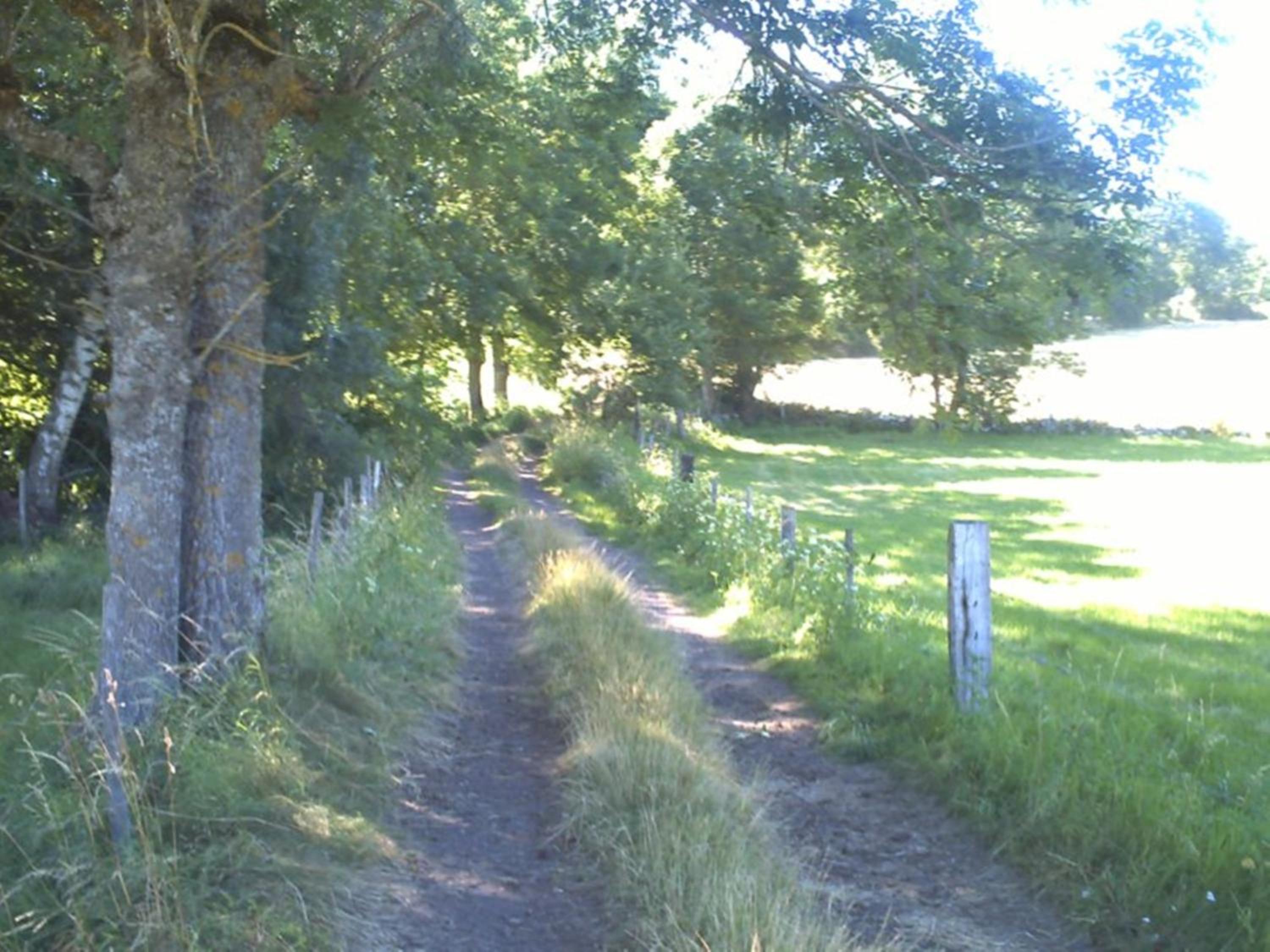 Photo 38