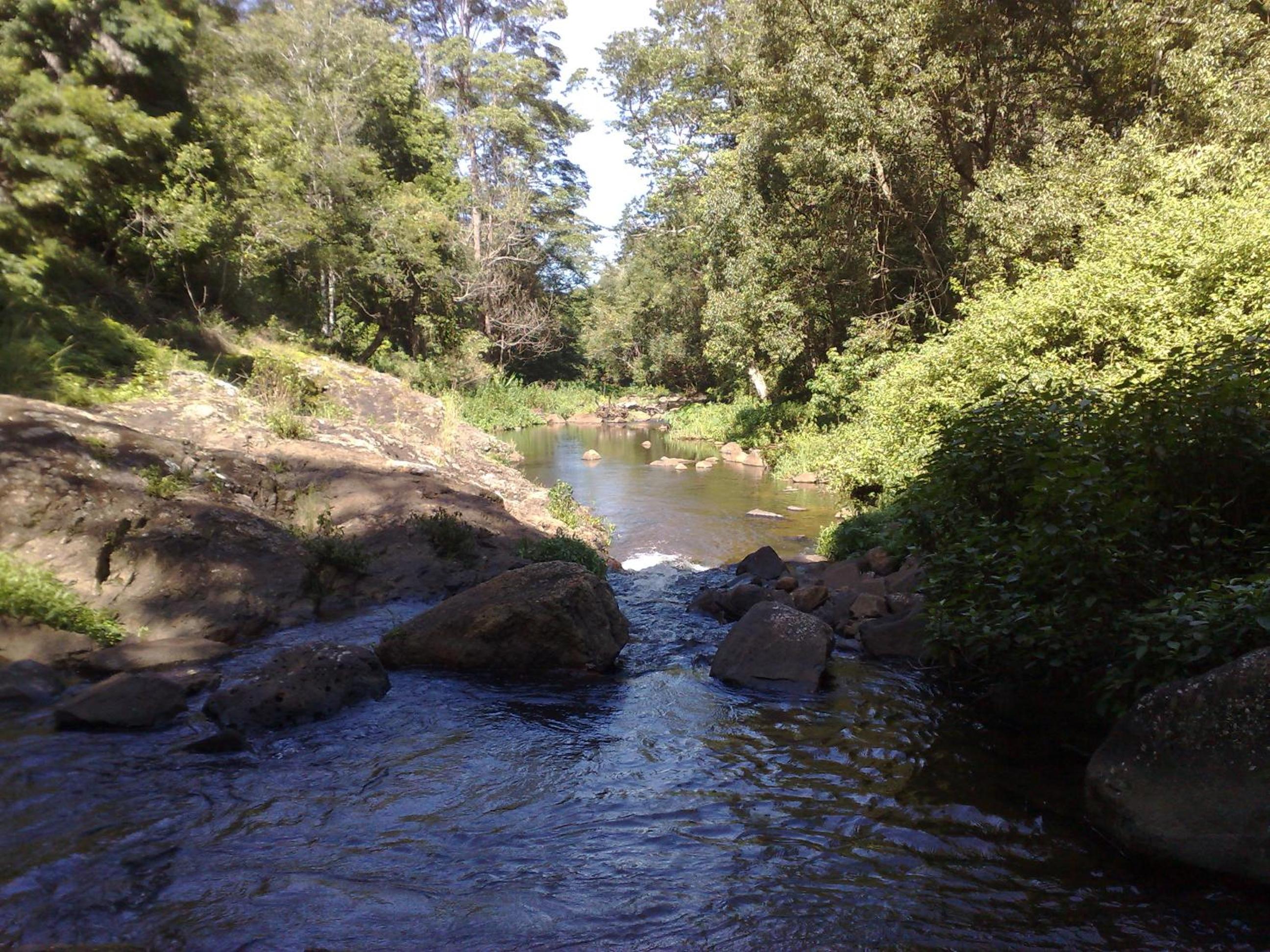 Photo 39