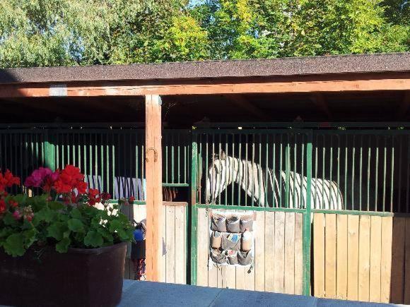 Farm Stay NH Stables