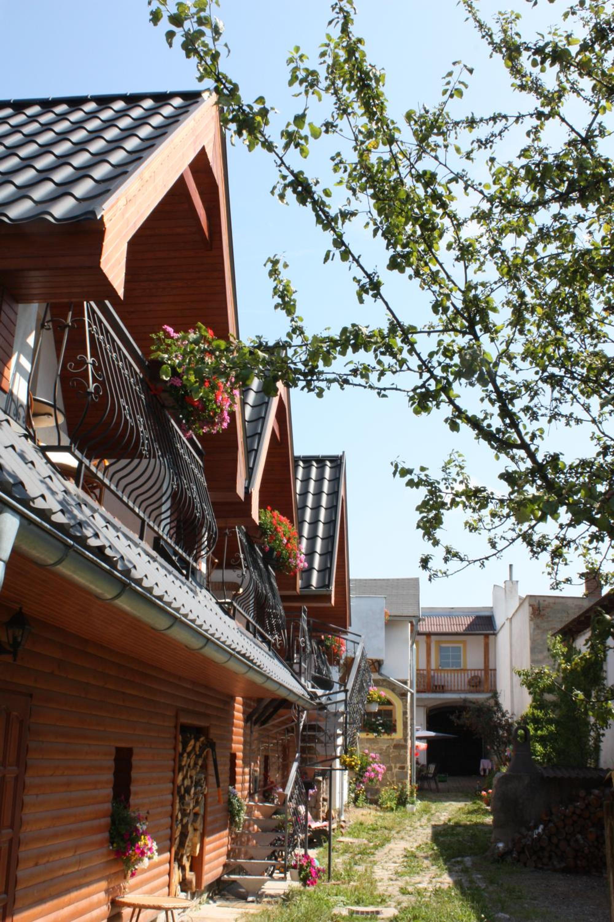 Photo 23