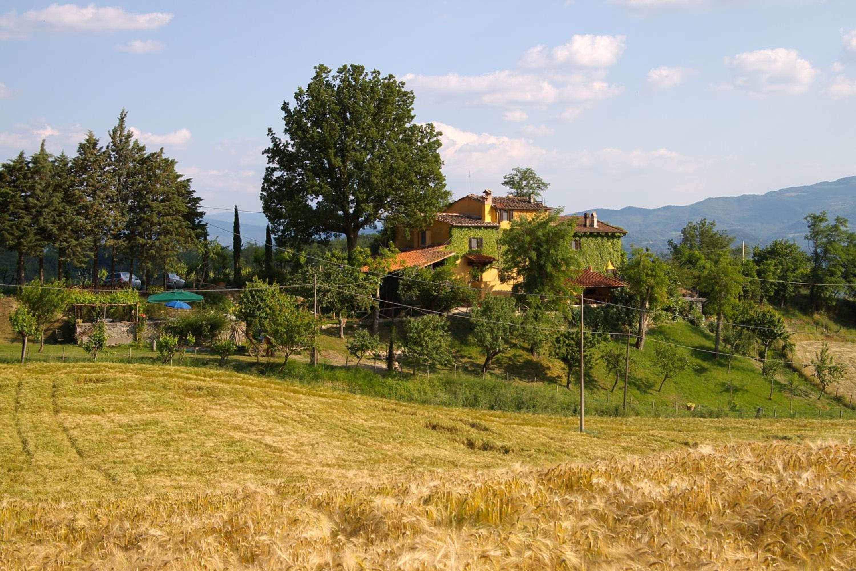 B&B Le Due Volpi — photo 3