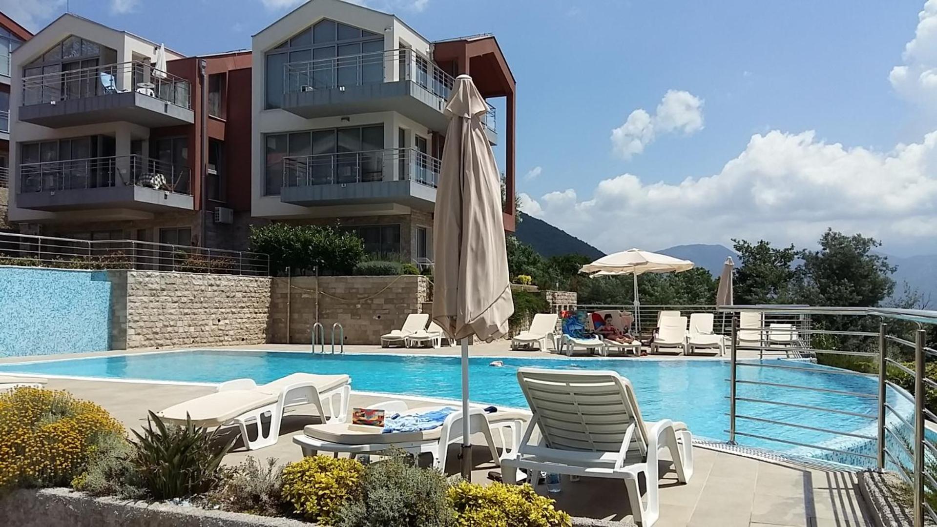 Acacia Hill olive tree apartment view 2