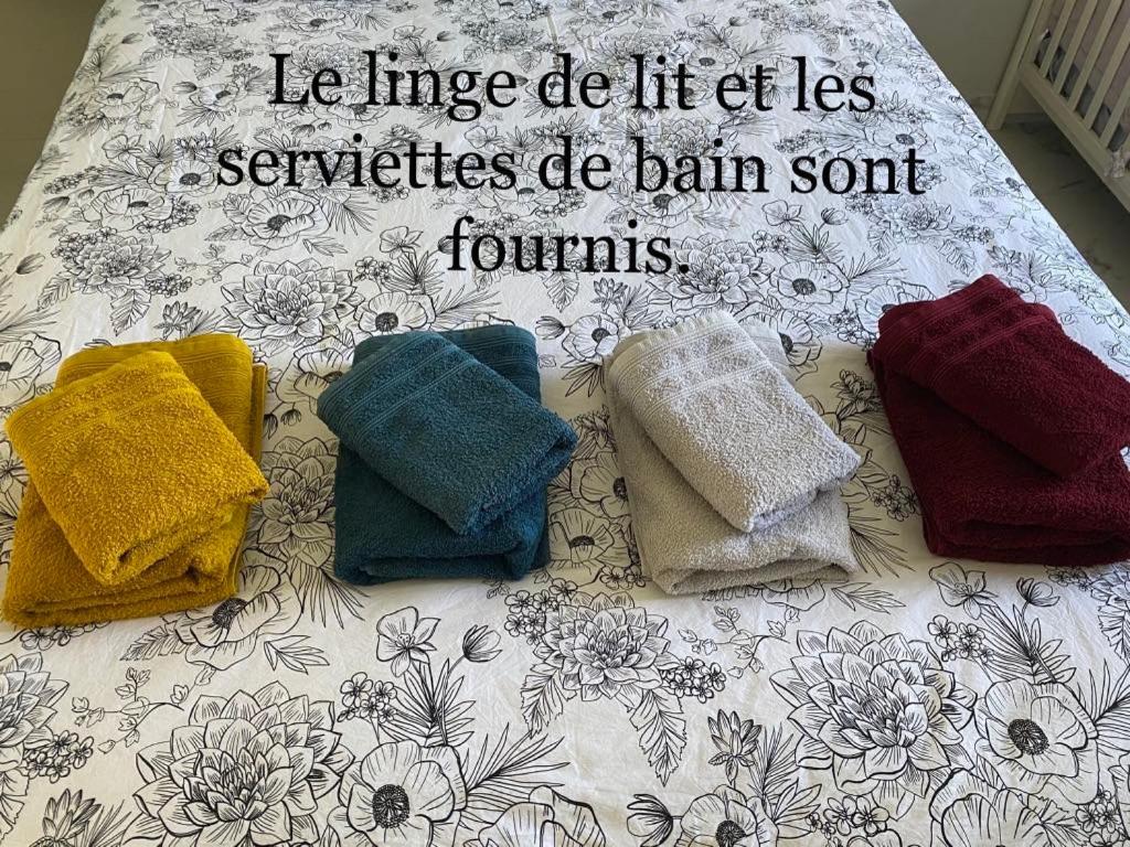 Bas de villa composée d'un 3 pièces et d'un studio avec piscine privée