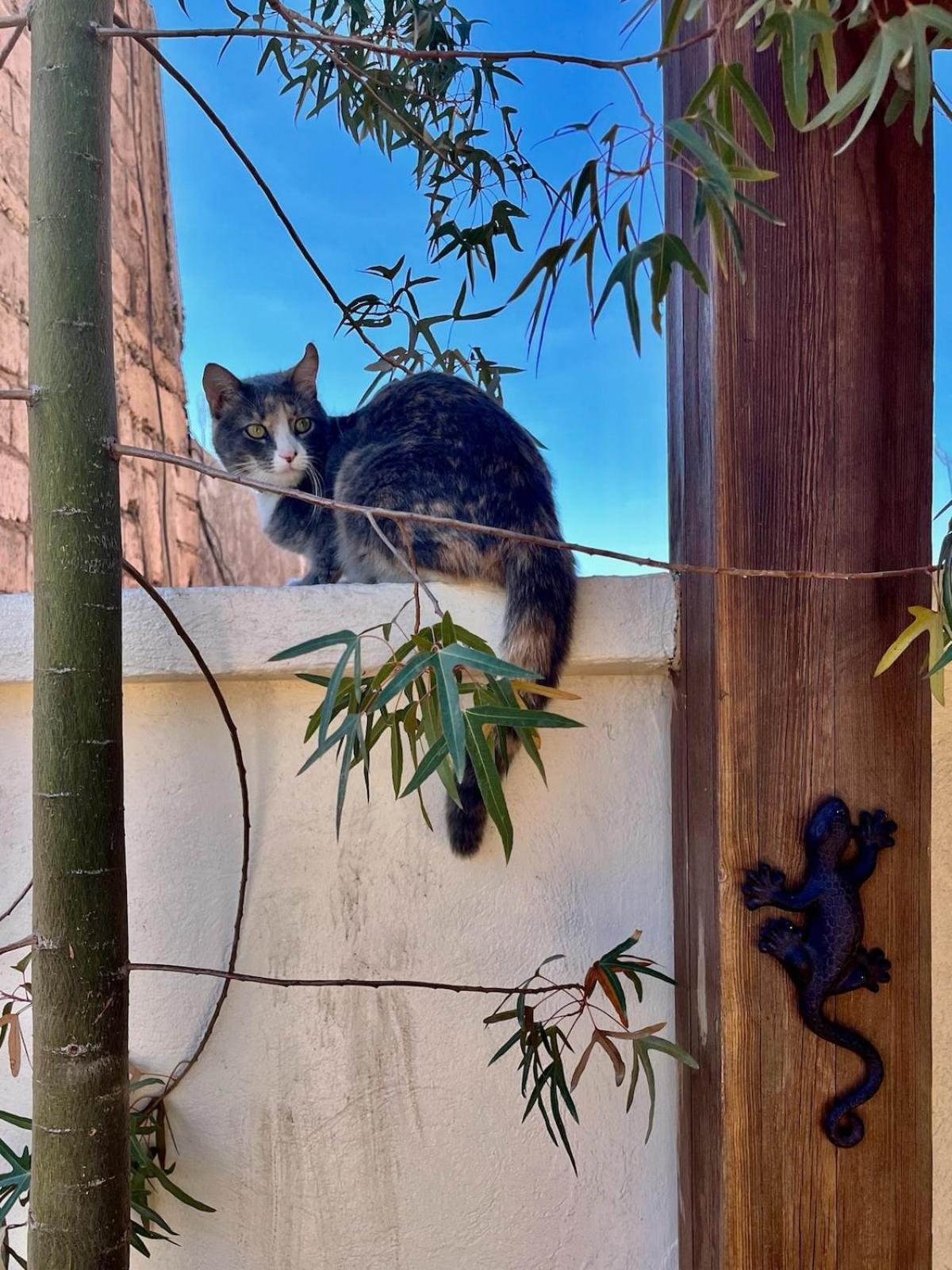 Riad des Sources