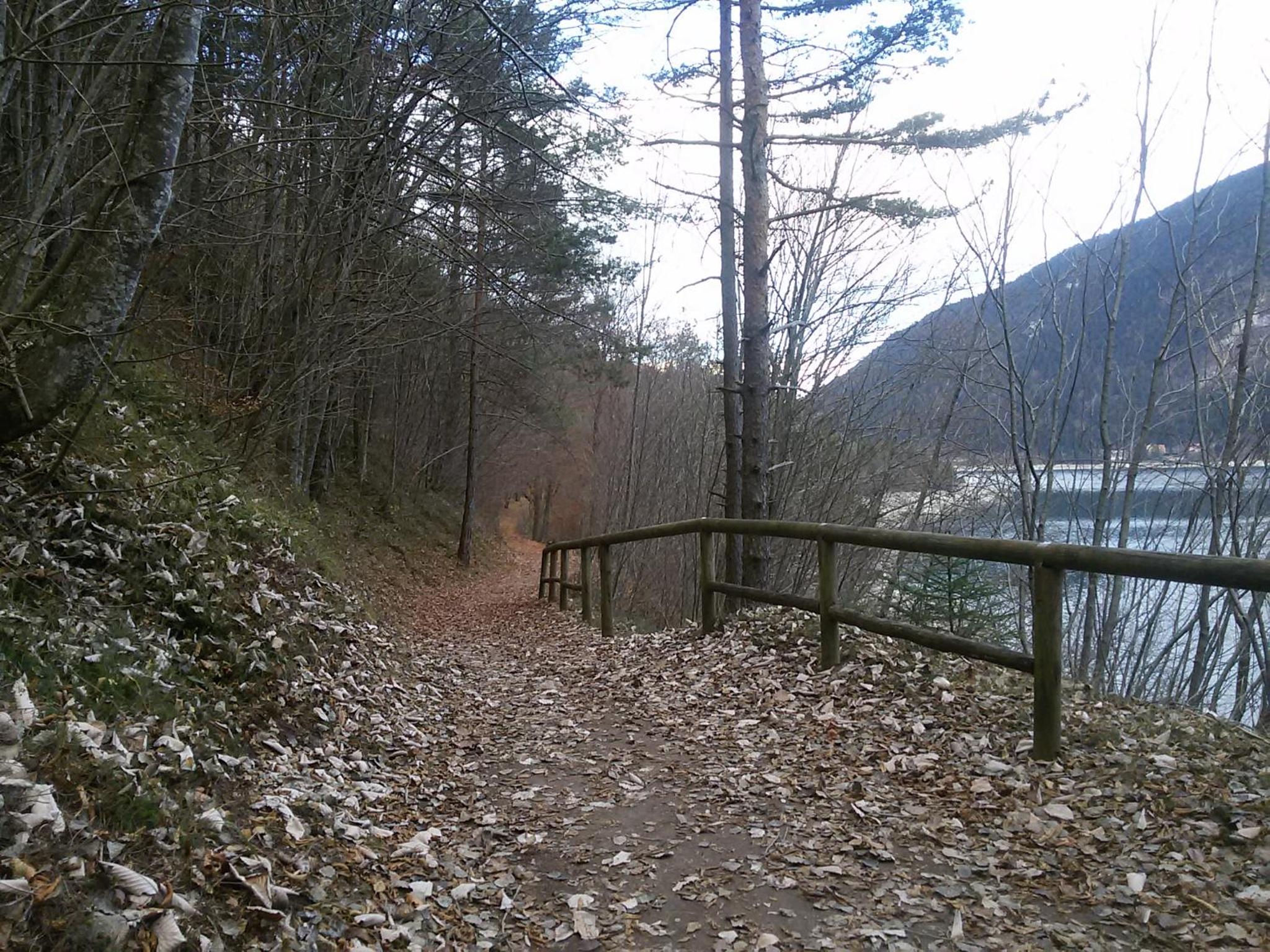 Photo 48
