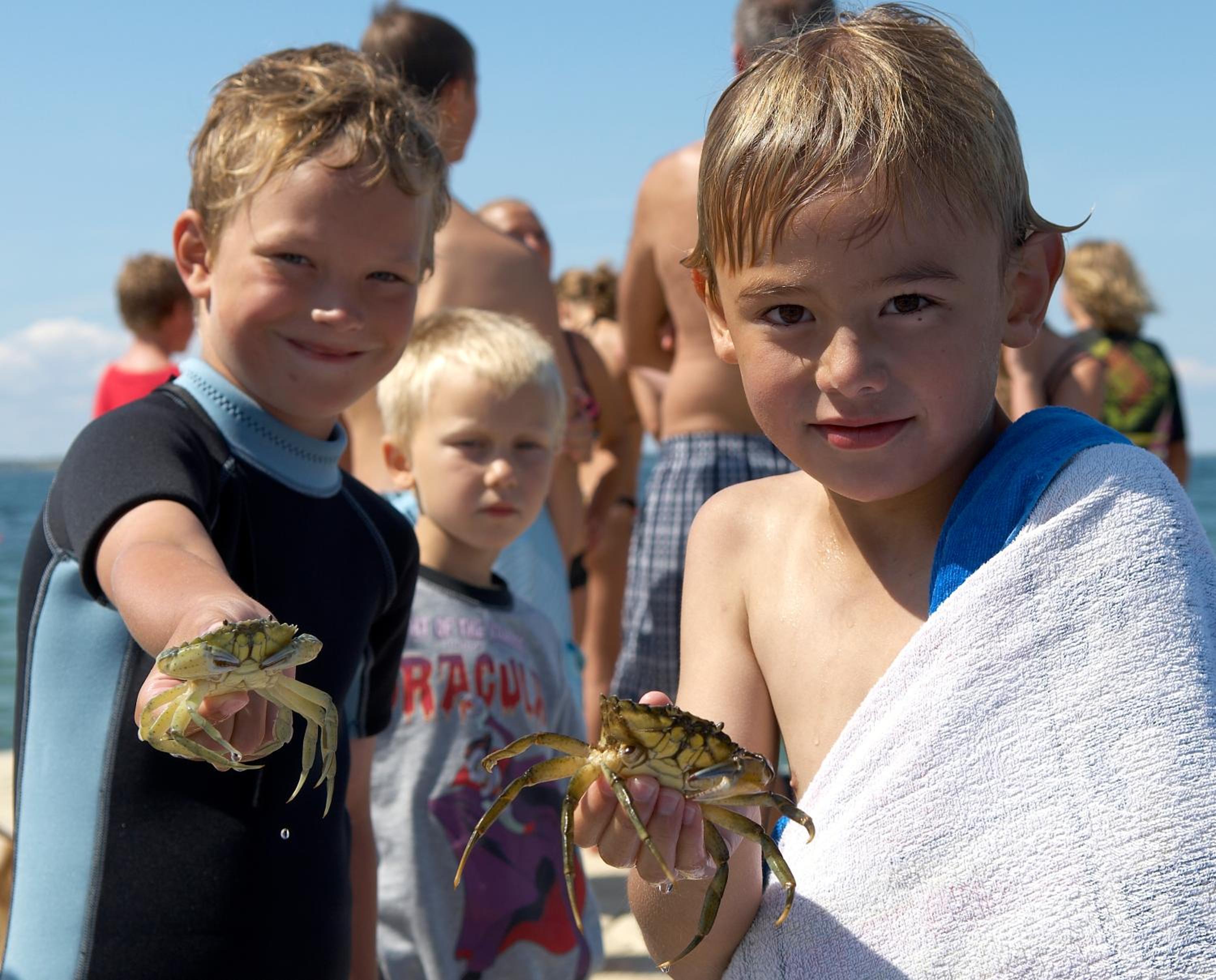 First Camp Bøjden Strand