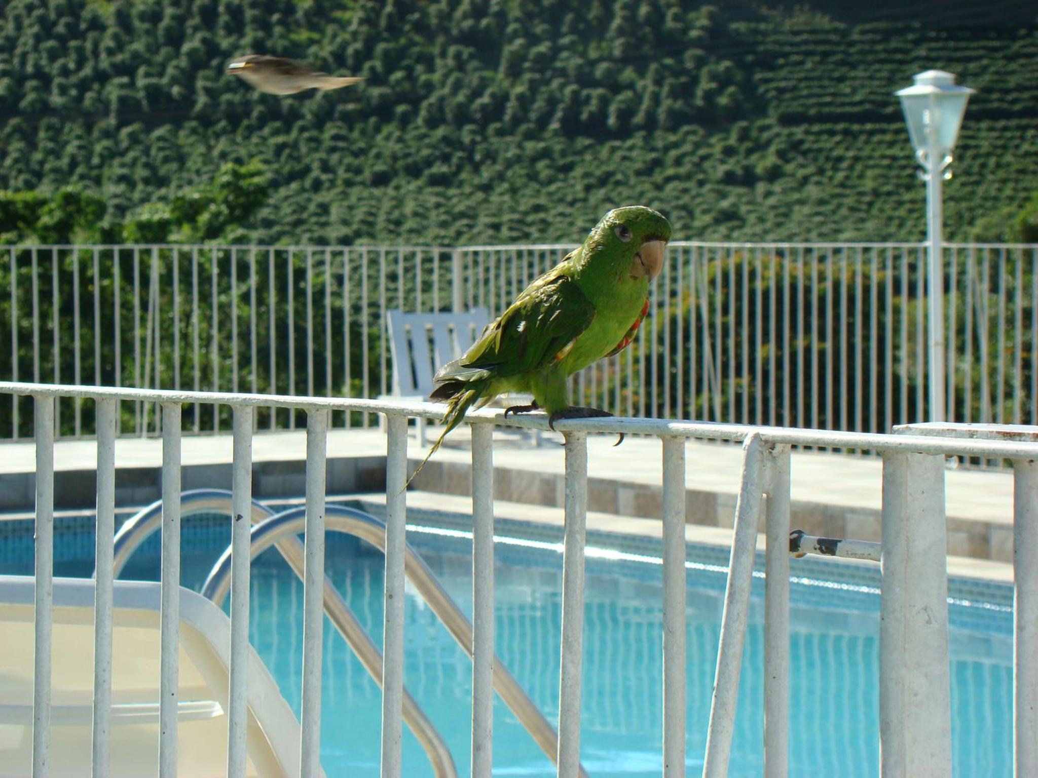 Pousada Primavera da Serra