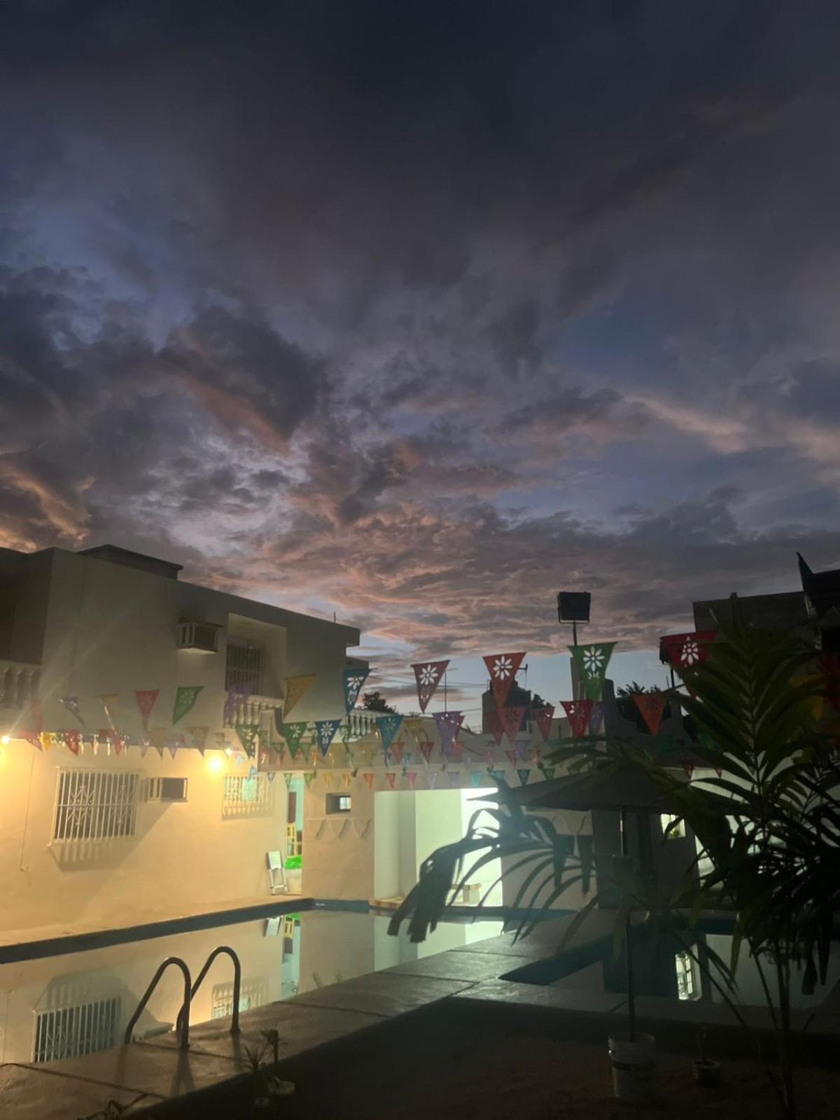 Hostel Treebu
