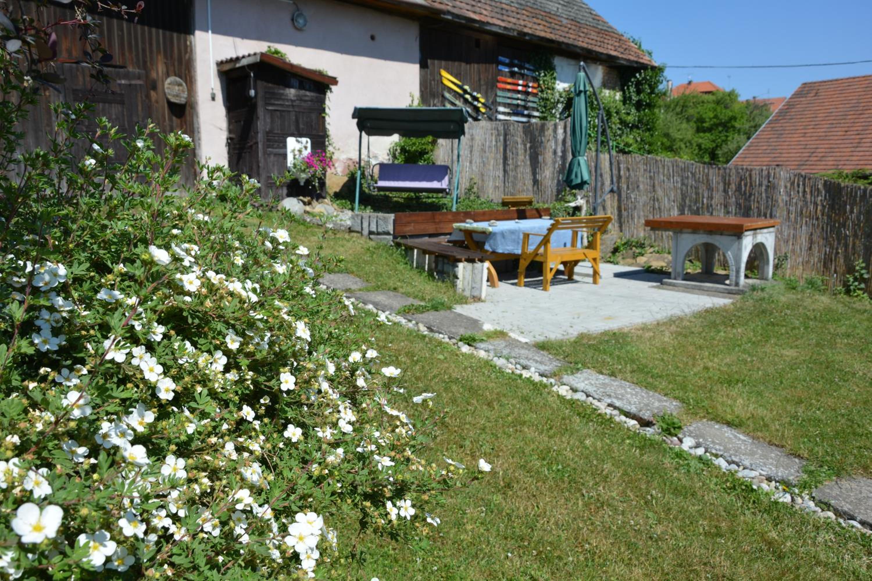 Photo 21