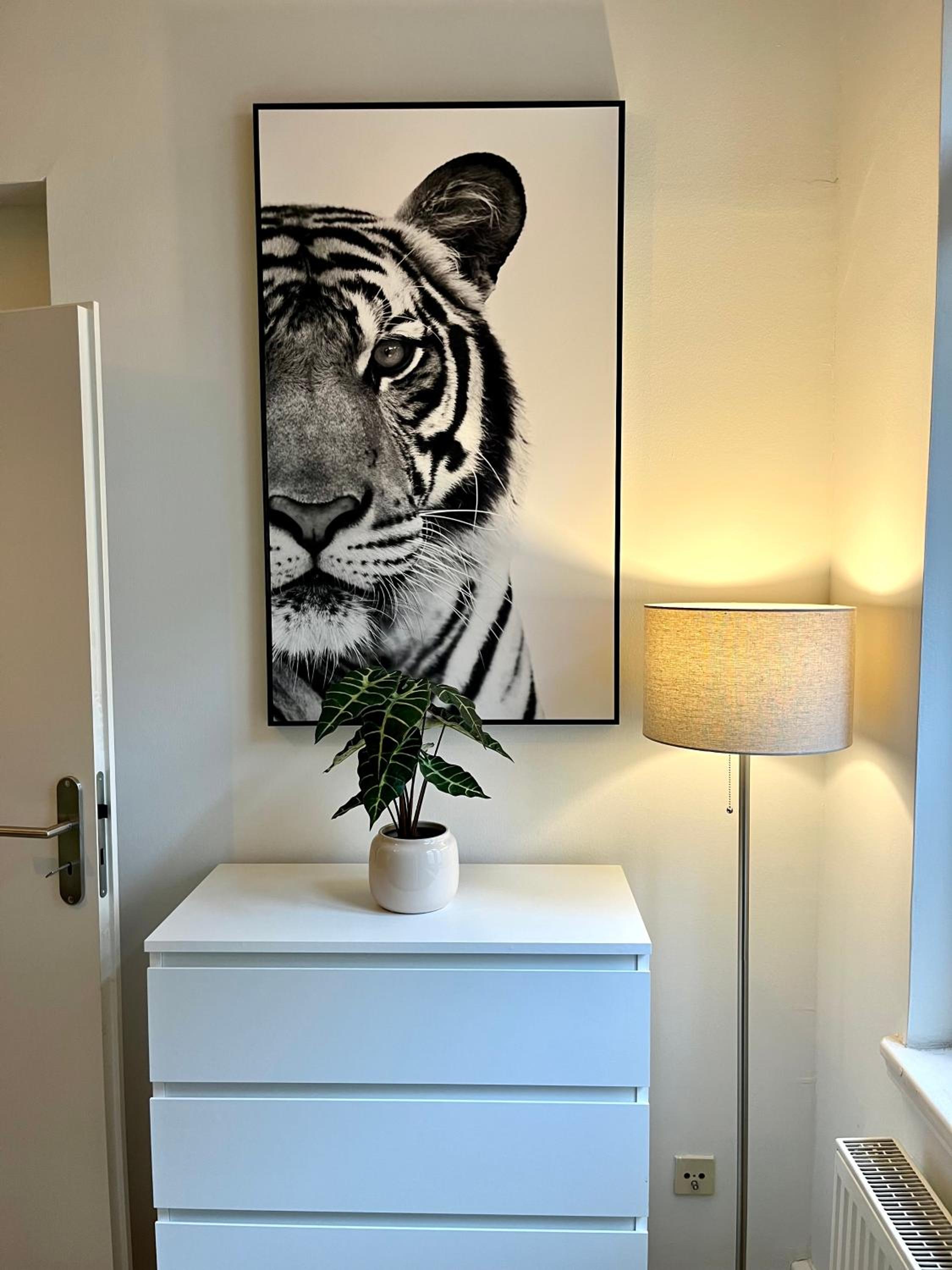Großzügiges Apartment mit PKW-Stellplatz, Monteursunterkunft
