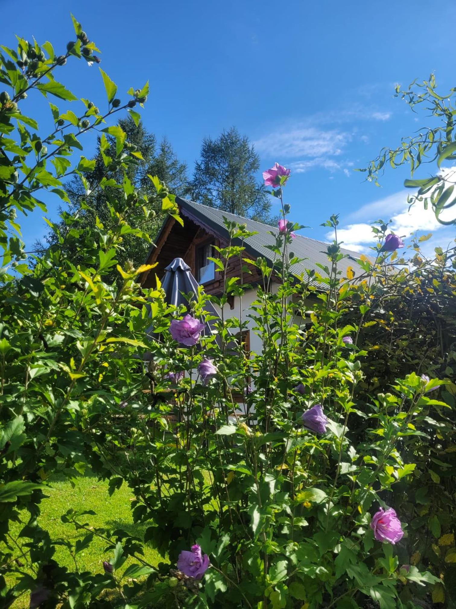 Na Szlaku - domki do wynajęcia, photo 13
