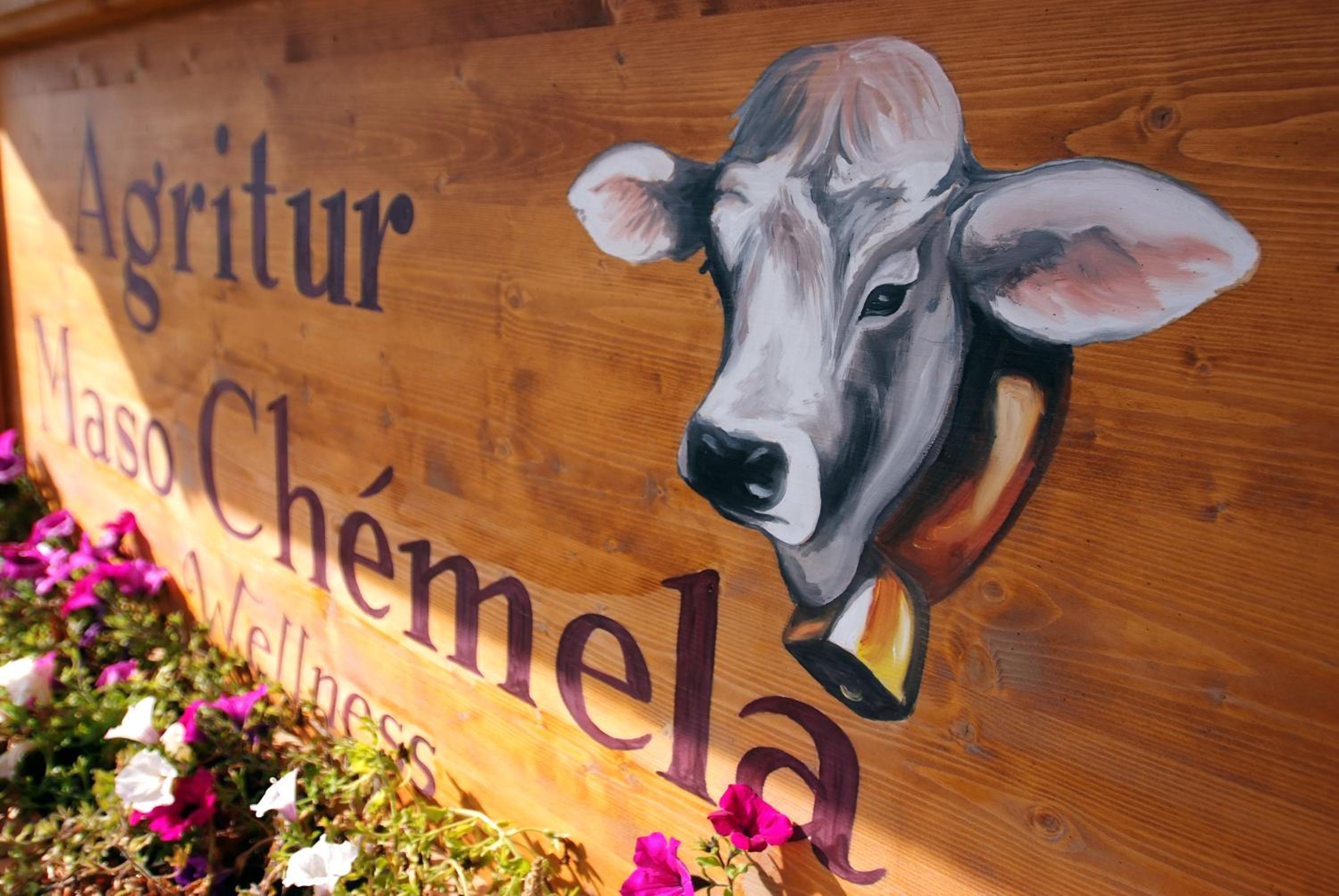 Agritur Maso Chemela
