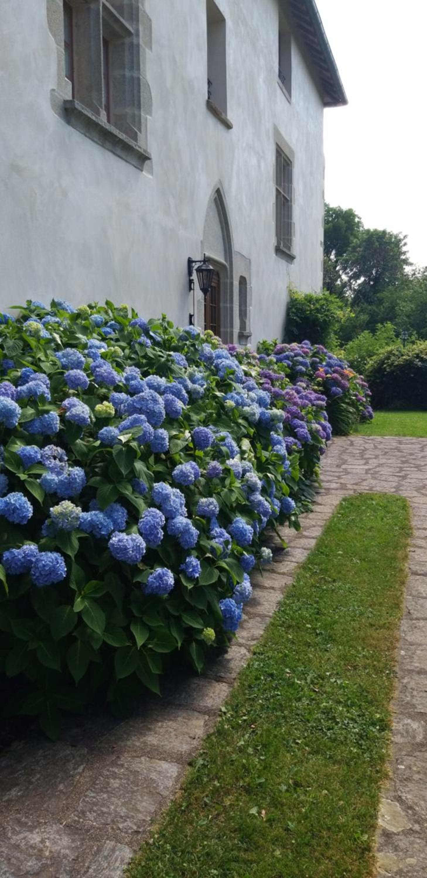 Manoir XV Domaine de Peyrafort, photo 52