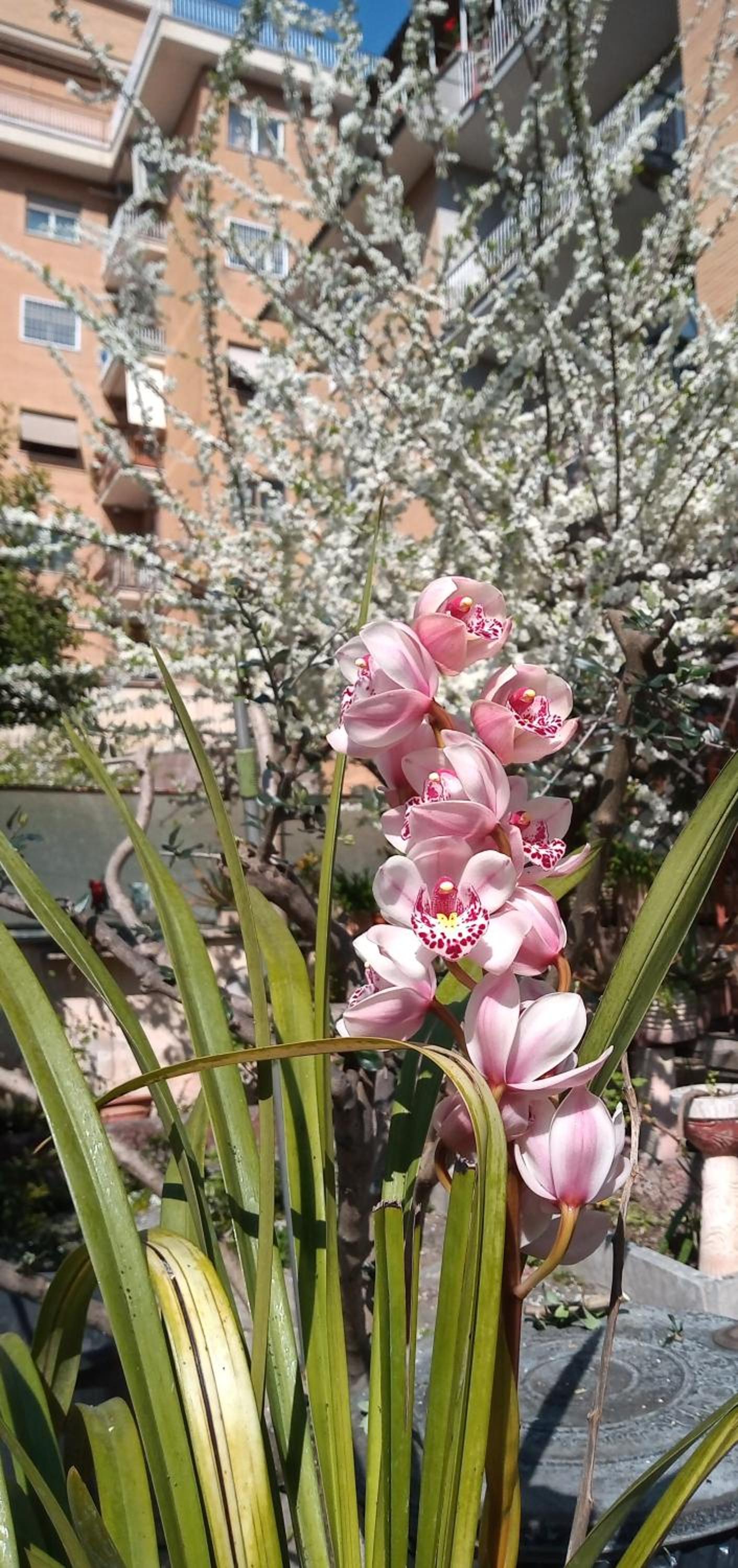 Il giardino dell'Eden 10 - Alloggio Turistico