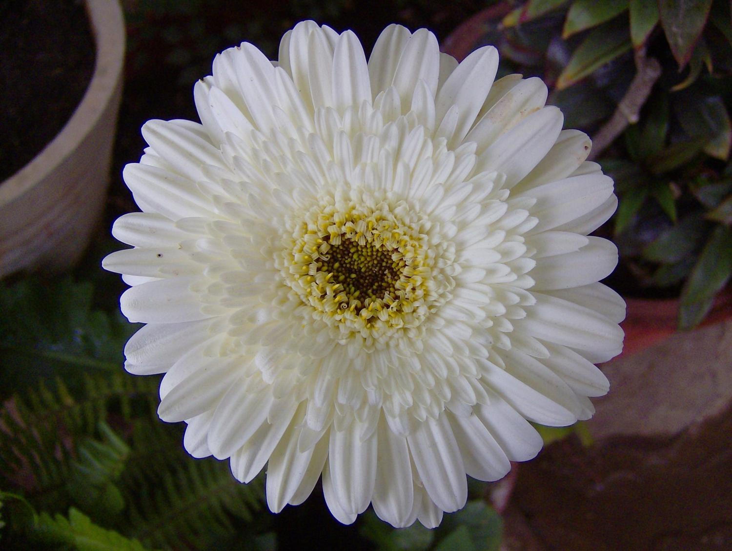Photo 40