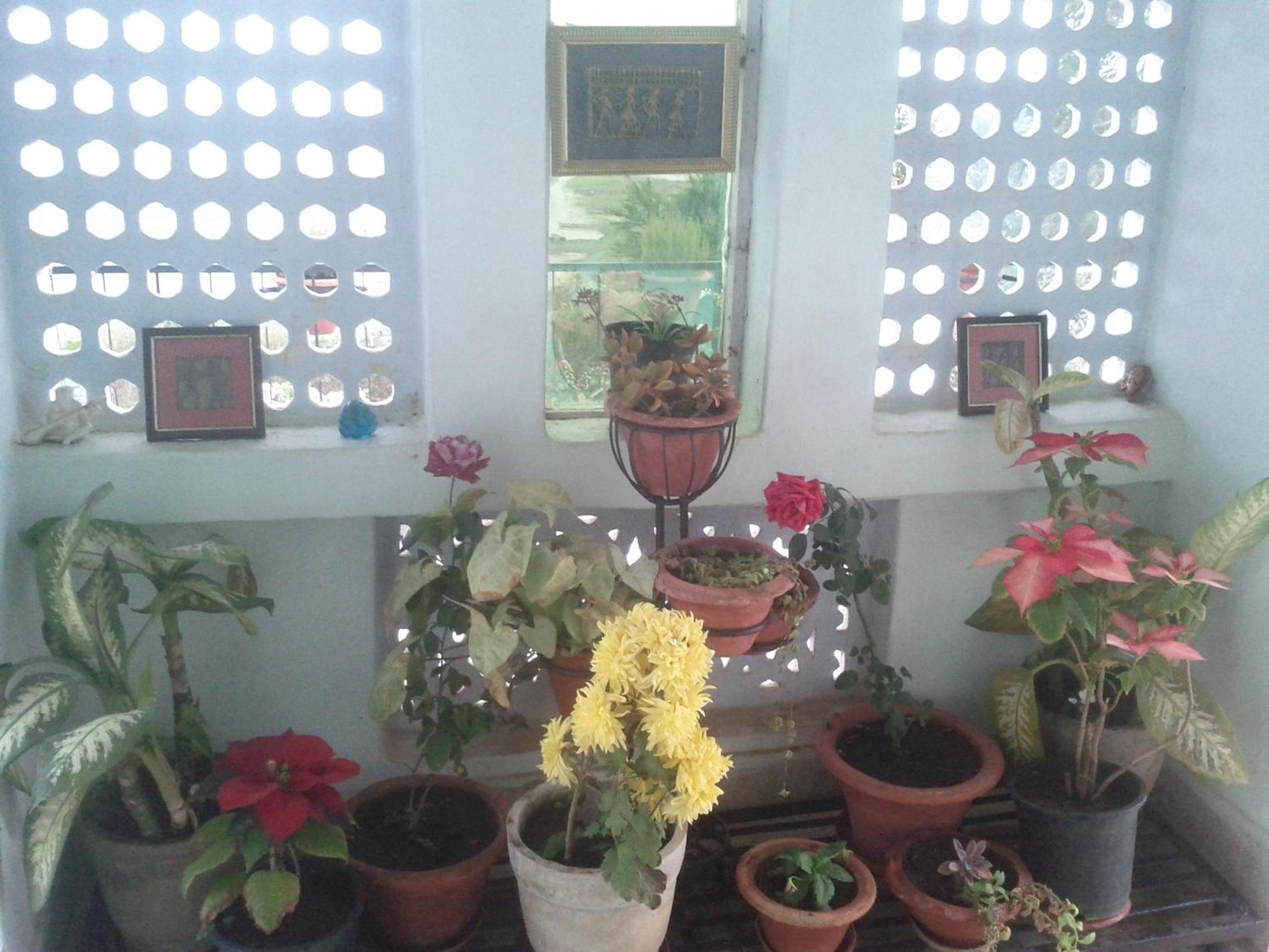 Photo 46