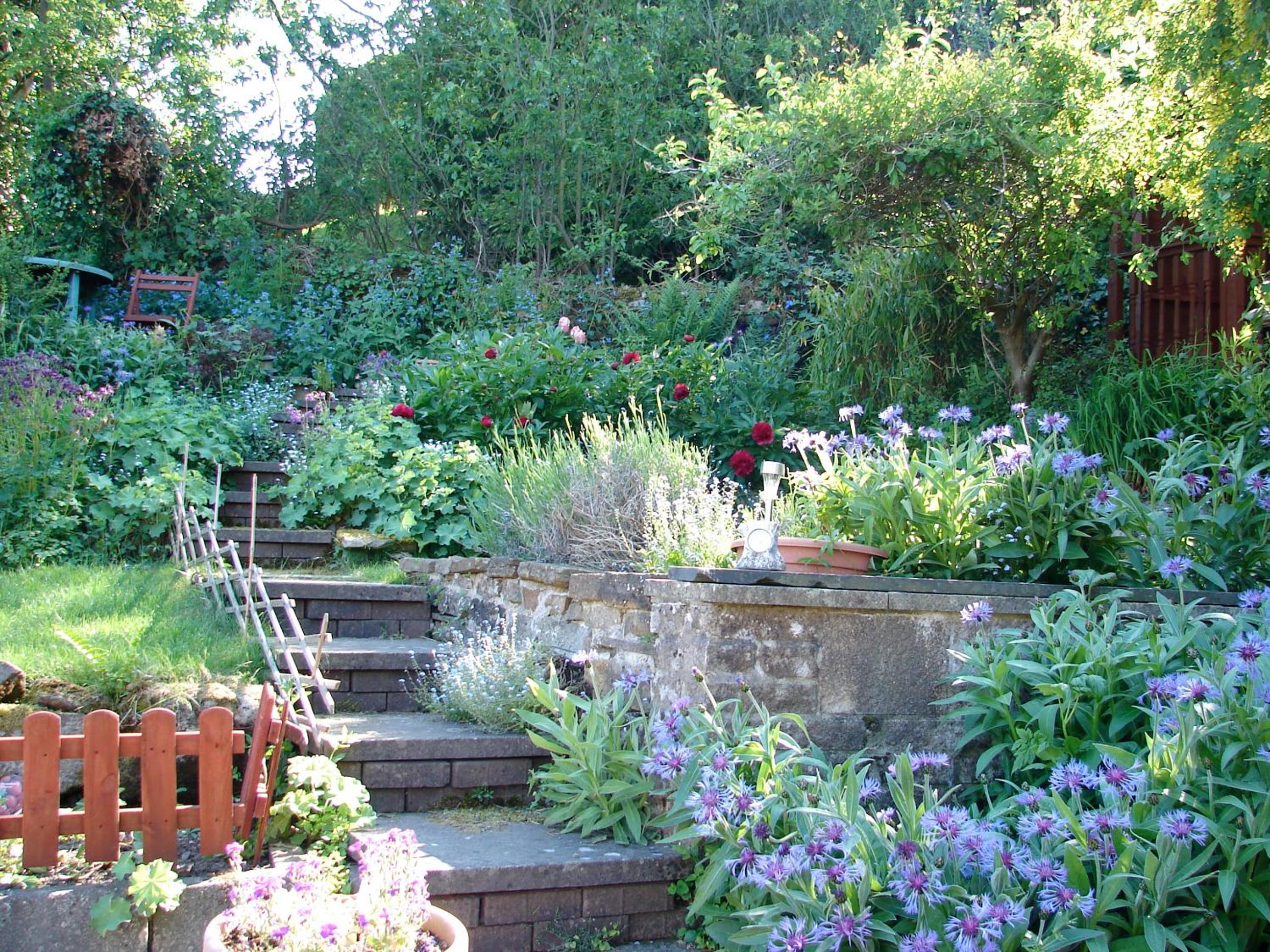 Ellen House Bed and Breakfast