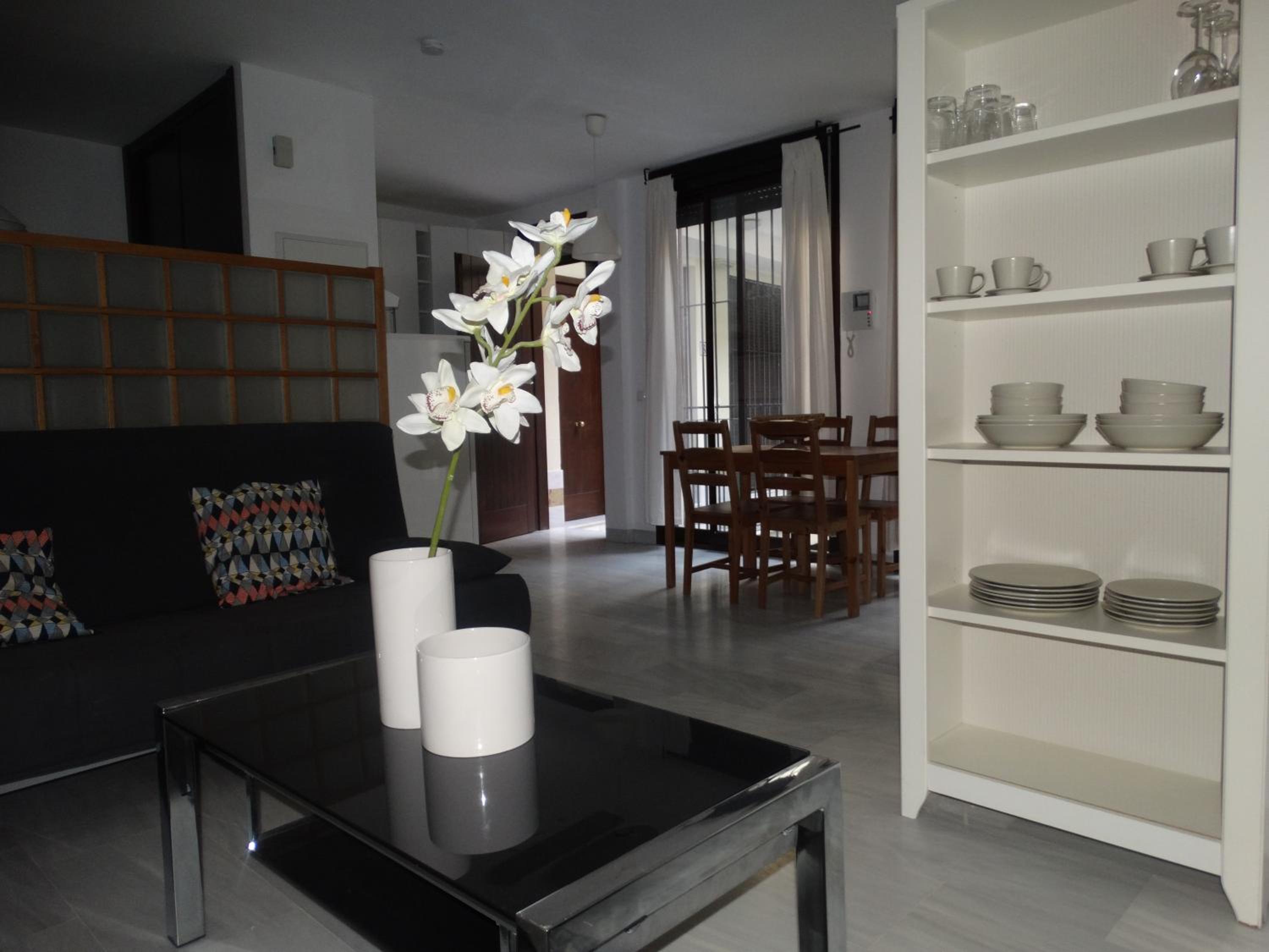 Málaga Apartamentos - Jinetes, 13
