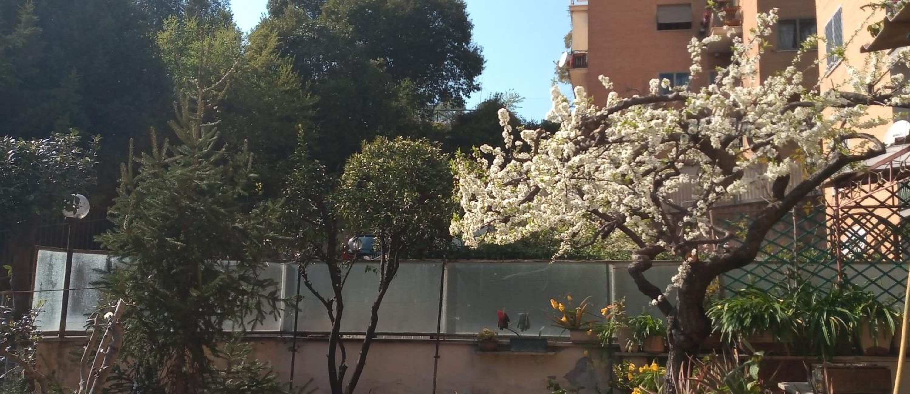 Il giardino dell'Eden 10 - Alloggio Turistico