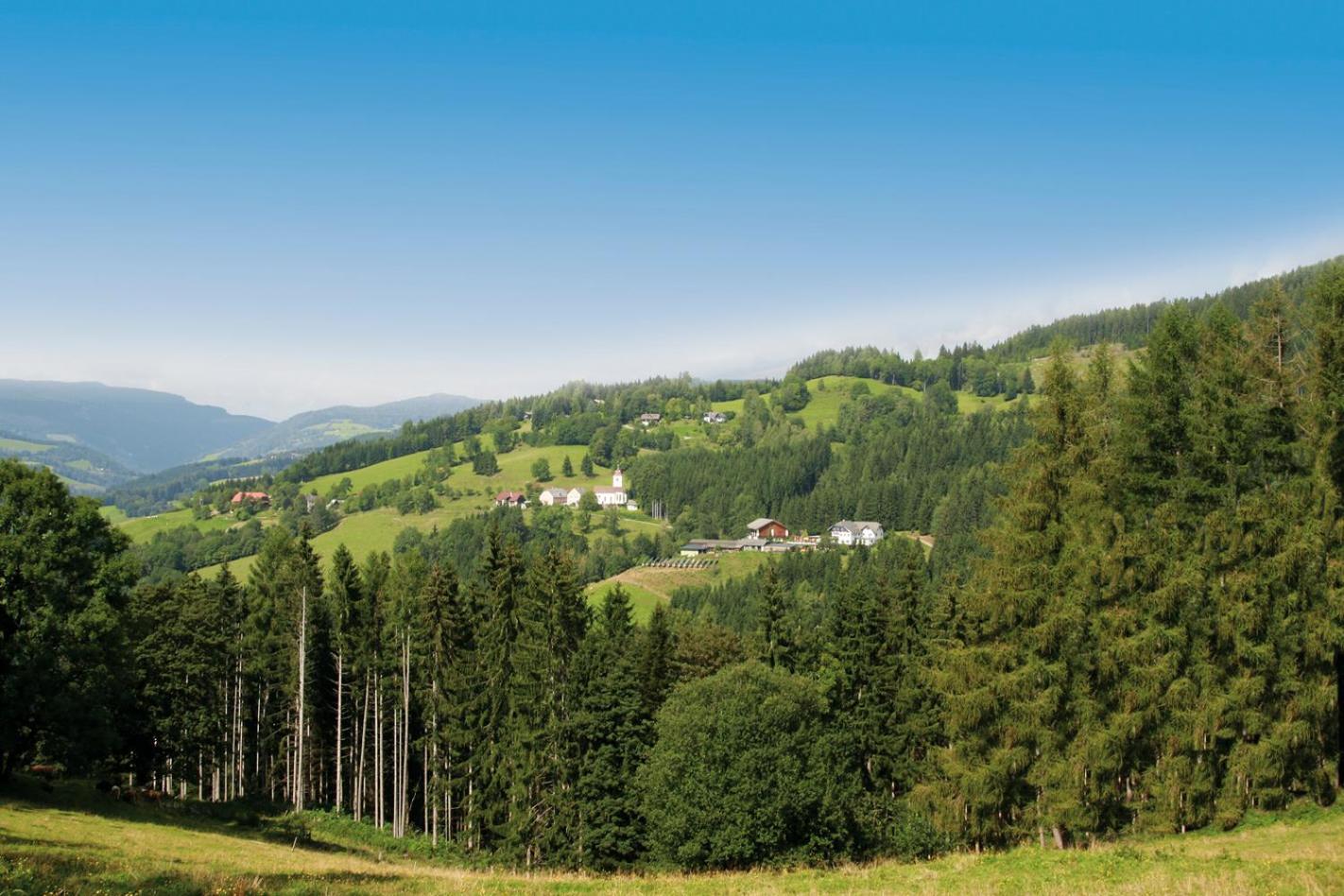Forellenwirt Bacher