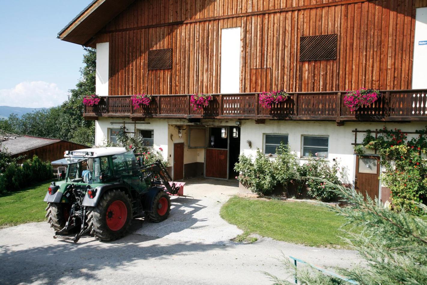 Forellenwirt Bacher