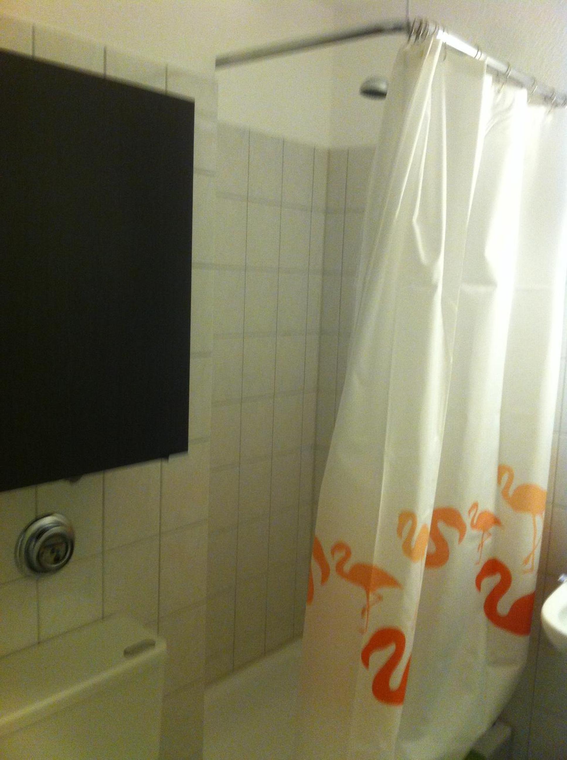 Photo 44