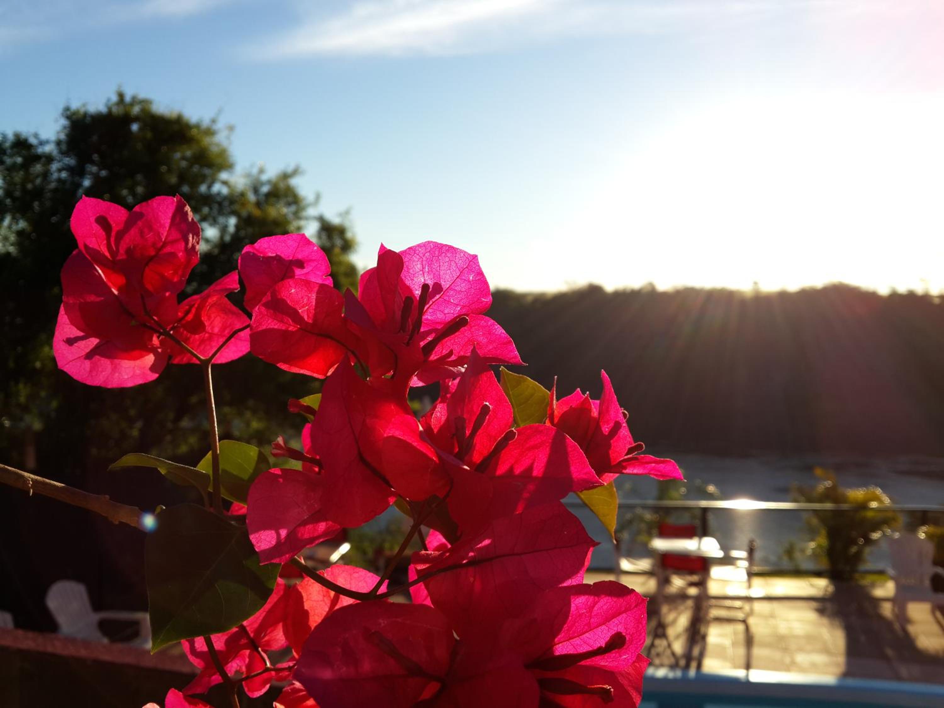 Costa del Sol Iguazú