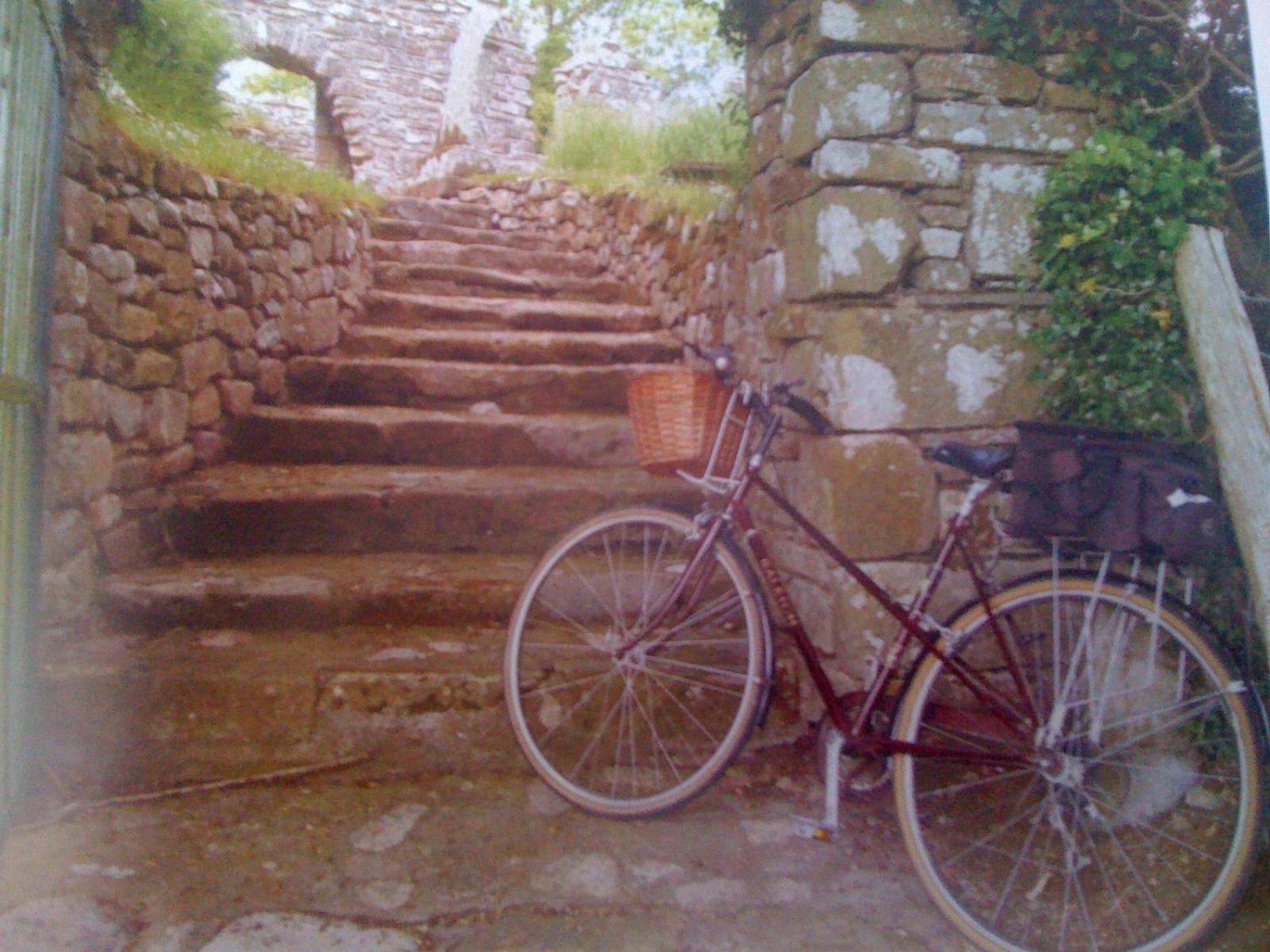 Photo 43