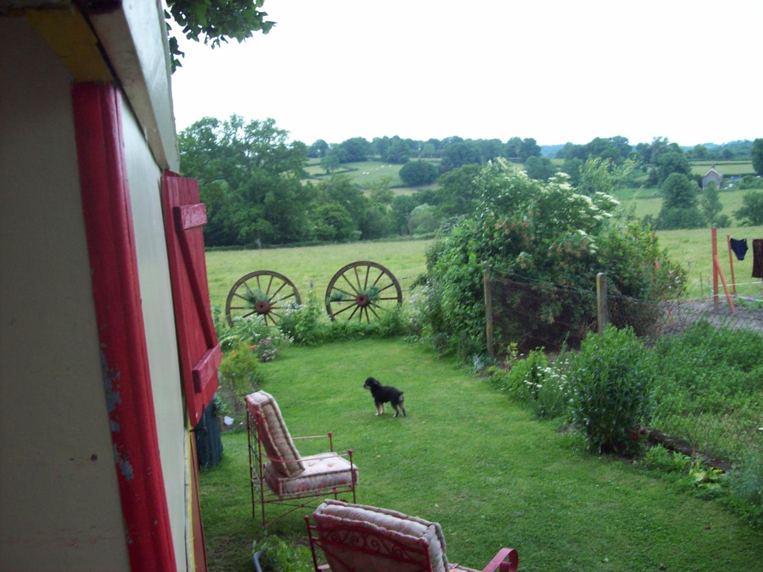 Photo 42