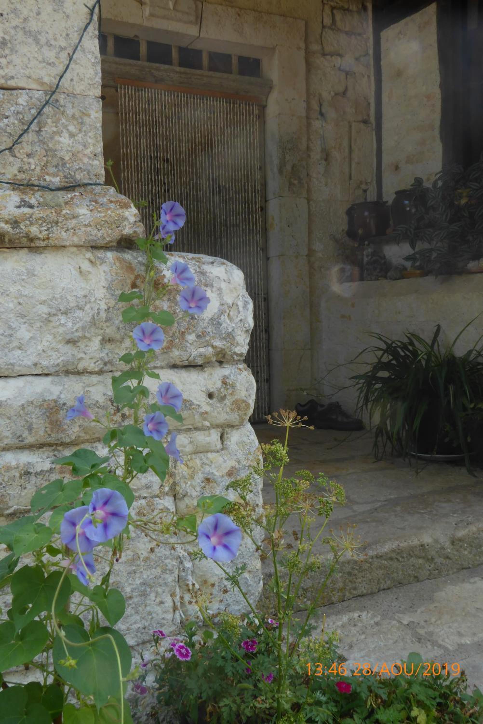 Photo 34