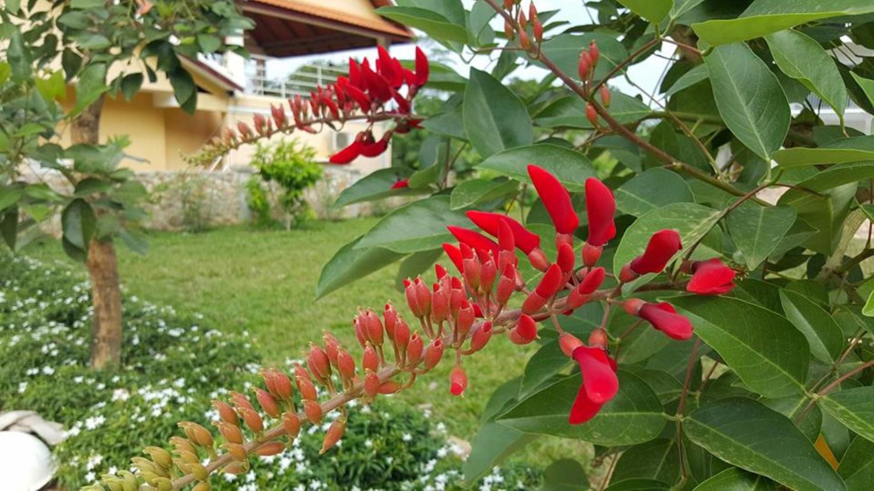 Summer Resort