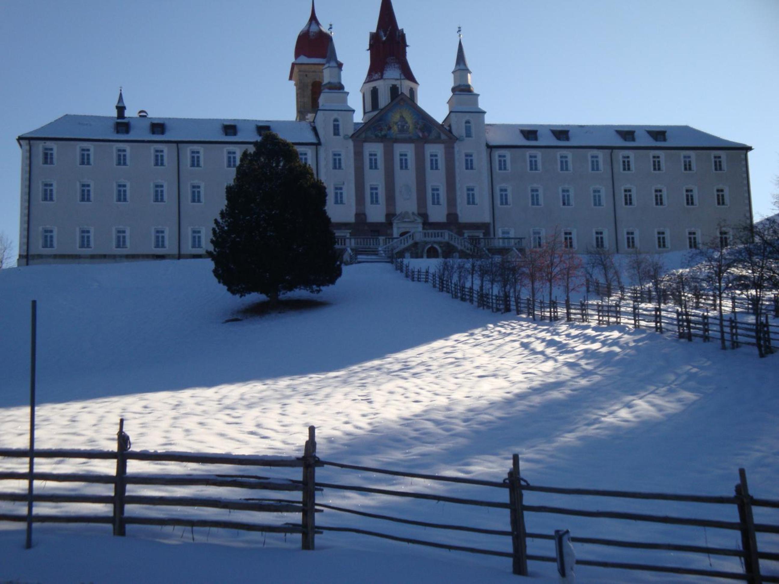 Photo 31