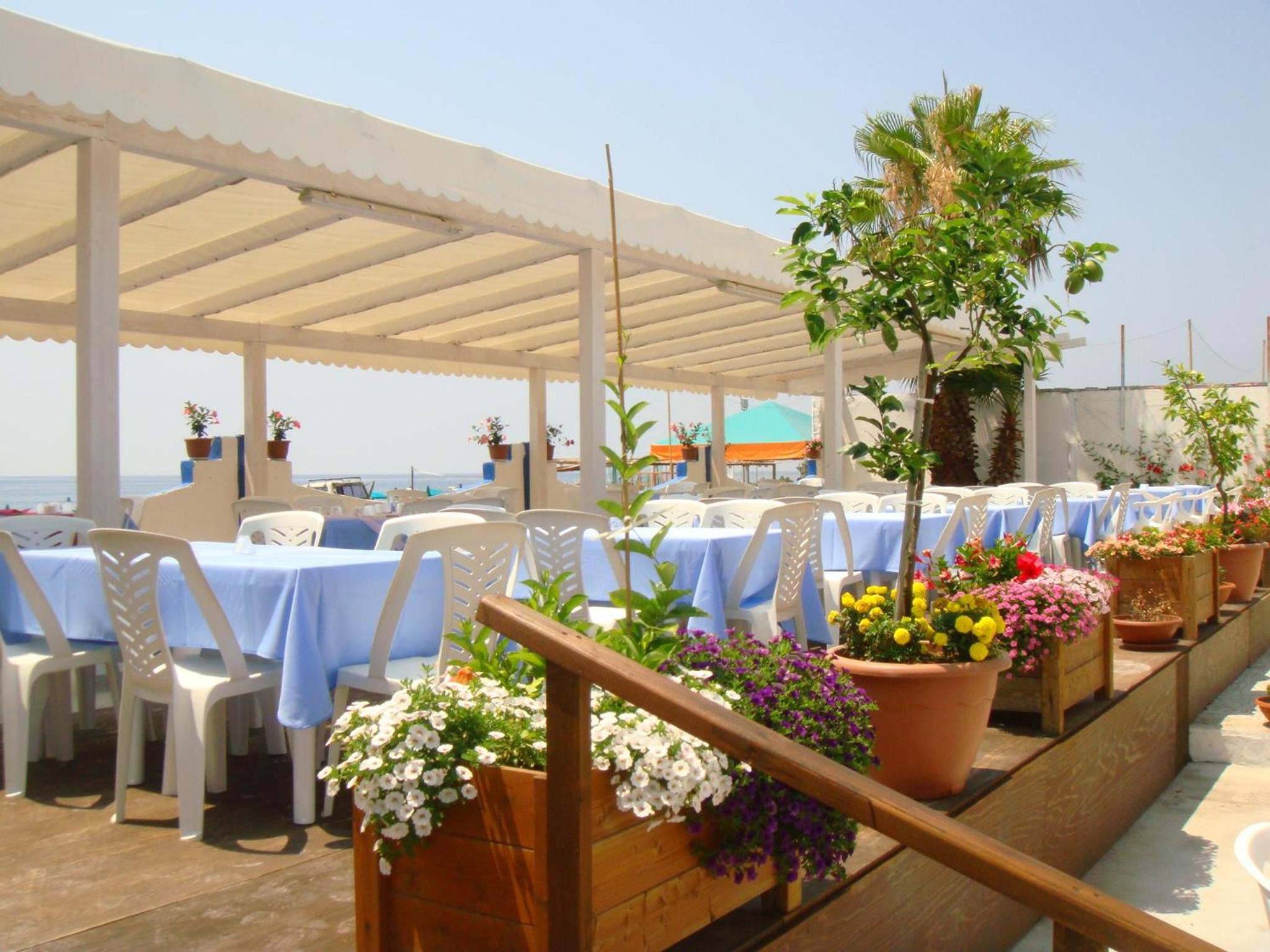 Hotel Rex