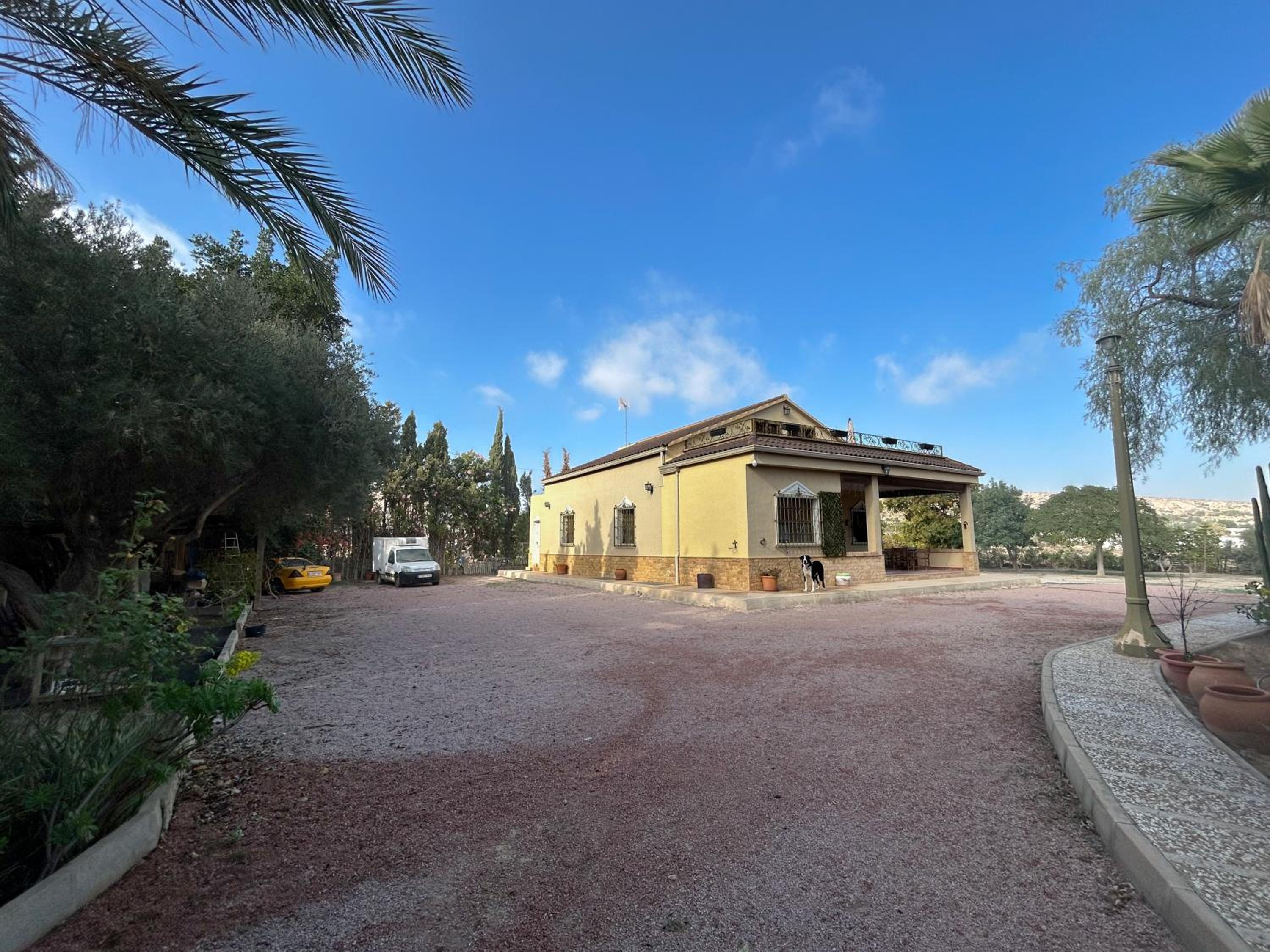 PalmsDreams - Villa en Alicante