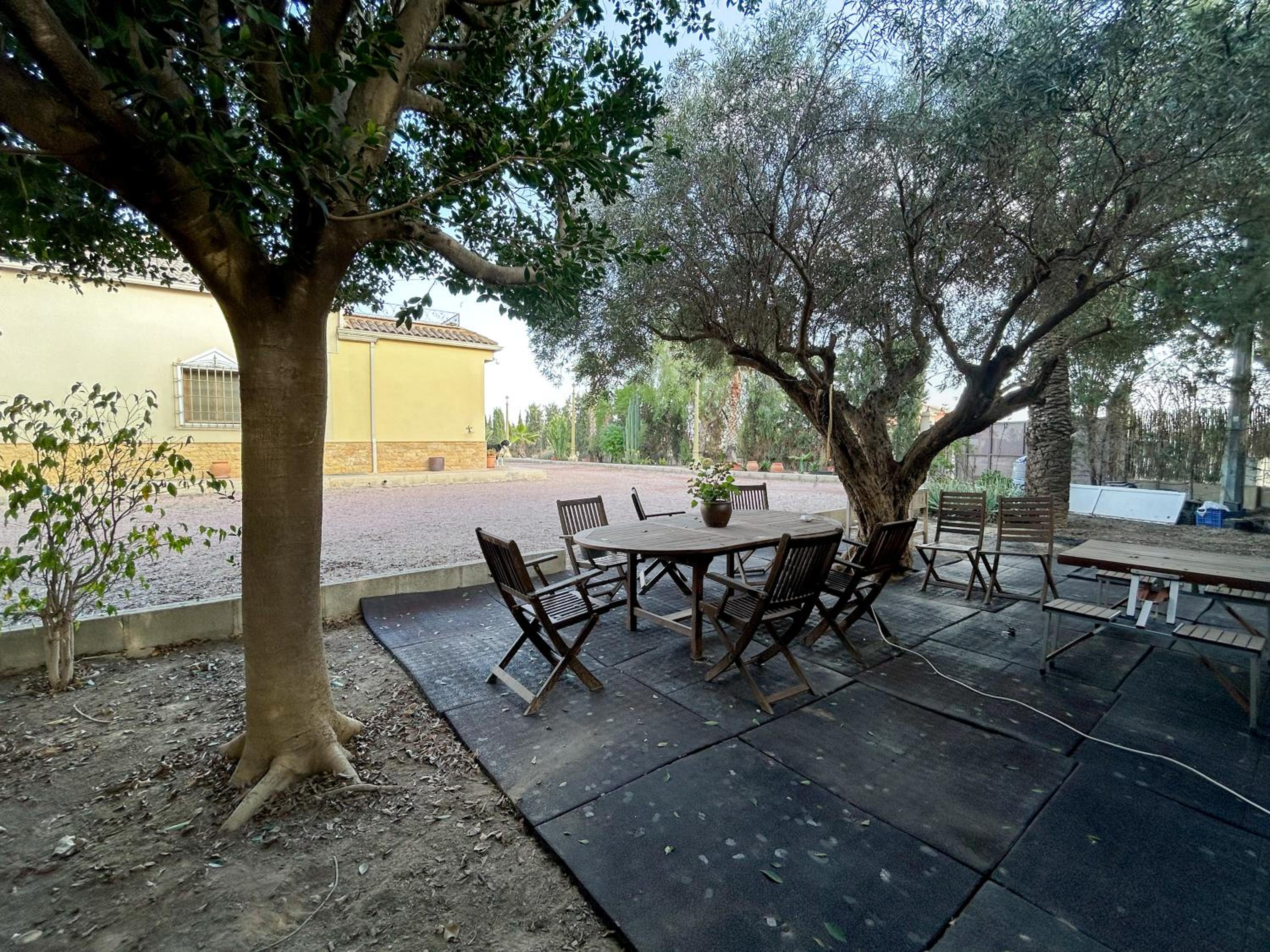 PalmsDreams - Villa en Alicante