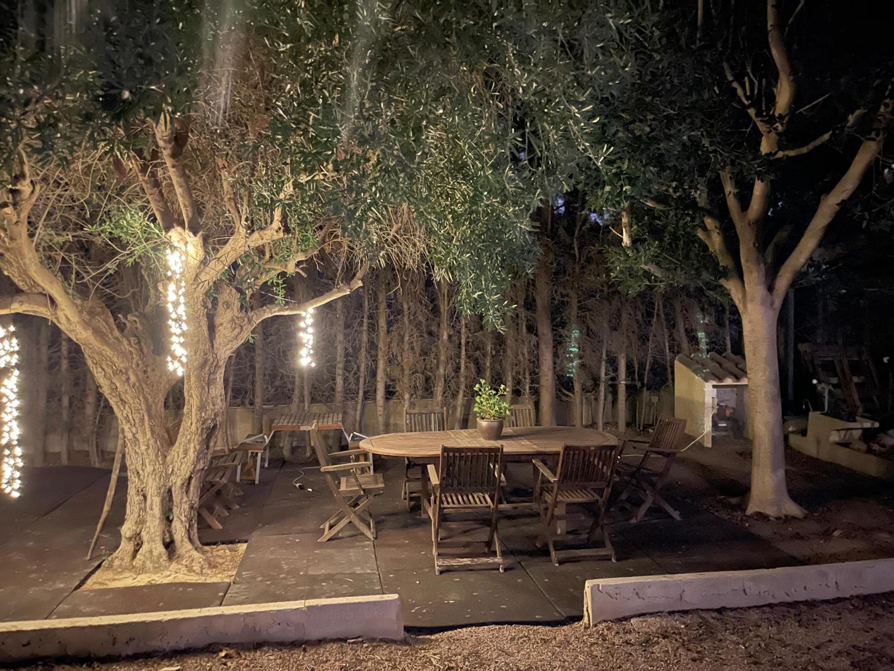 PalmsDreams - Villa en Alicante