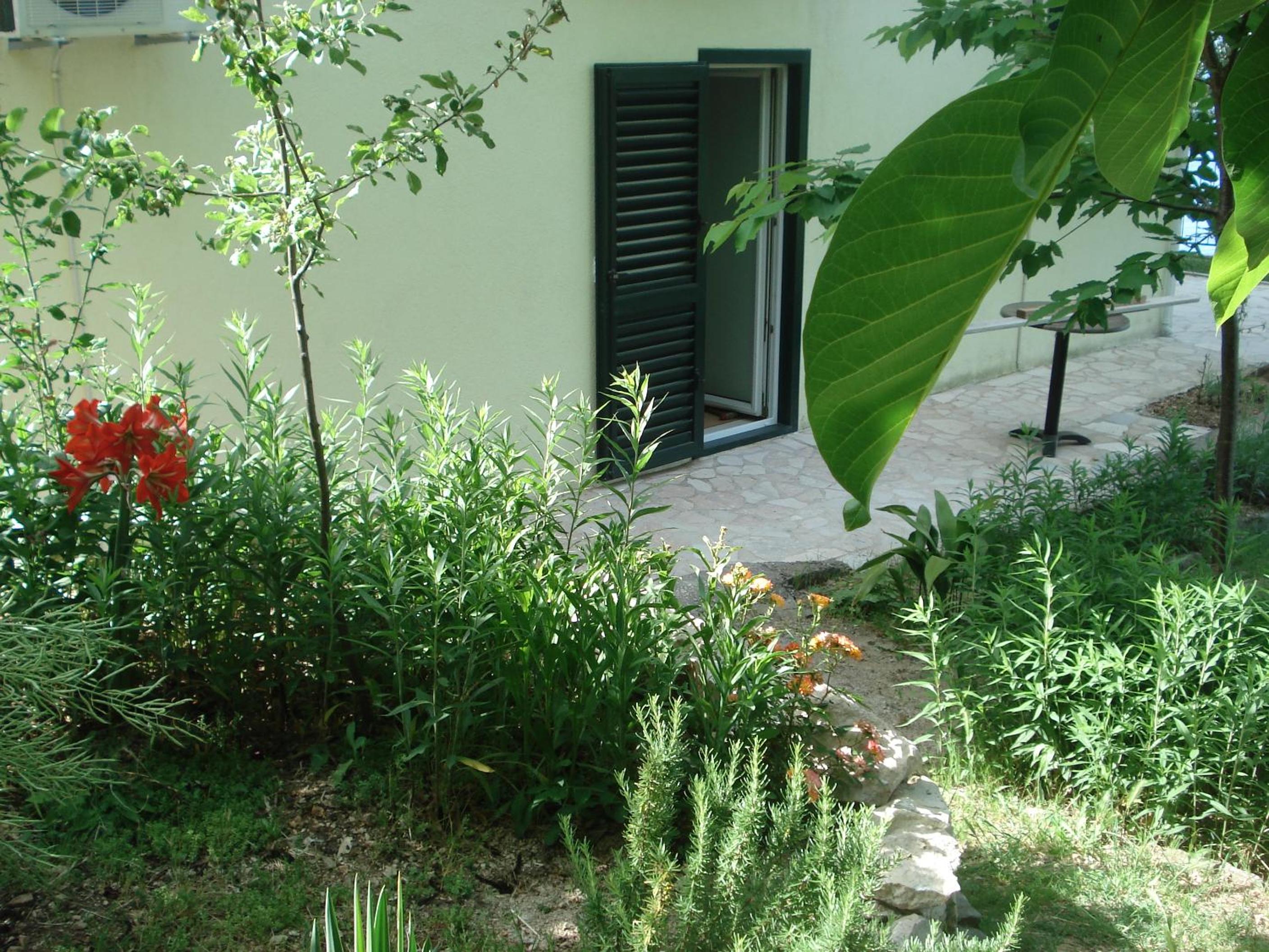 Photo 37