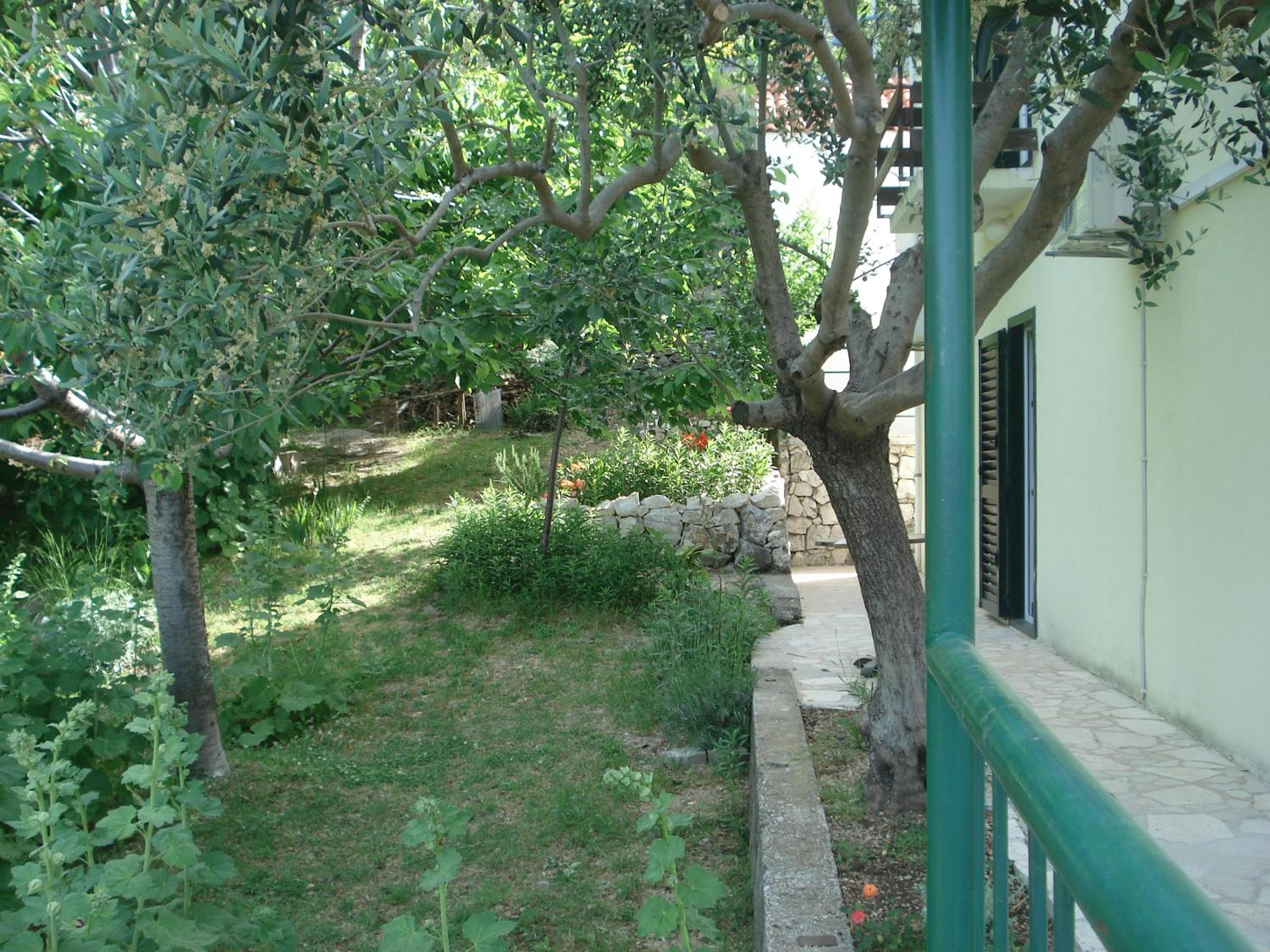 Photo 30