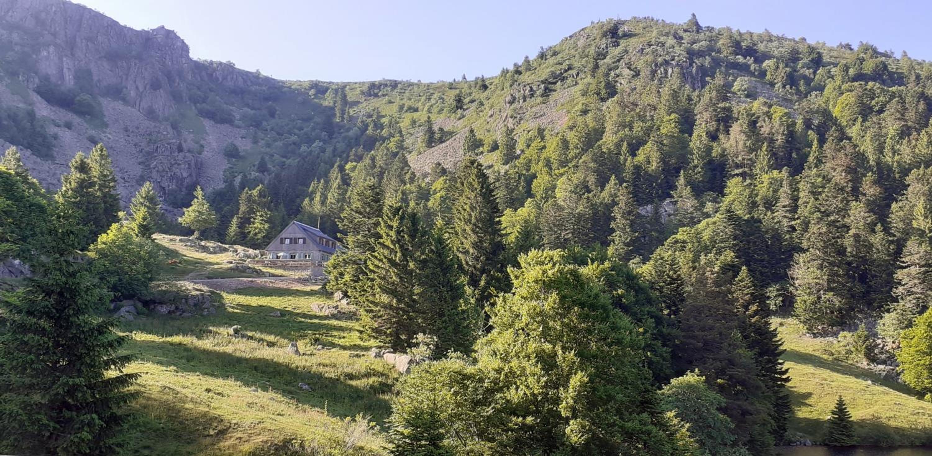MUNSTER camping de la FECHT, photo 25