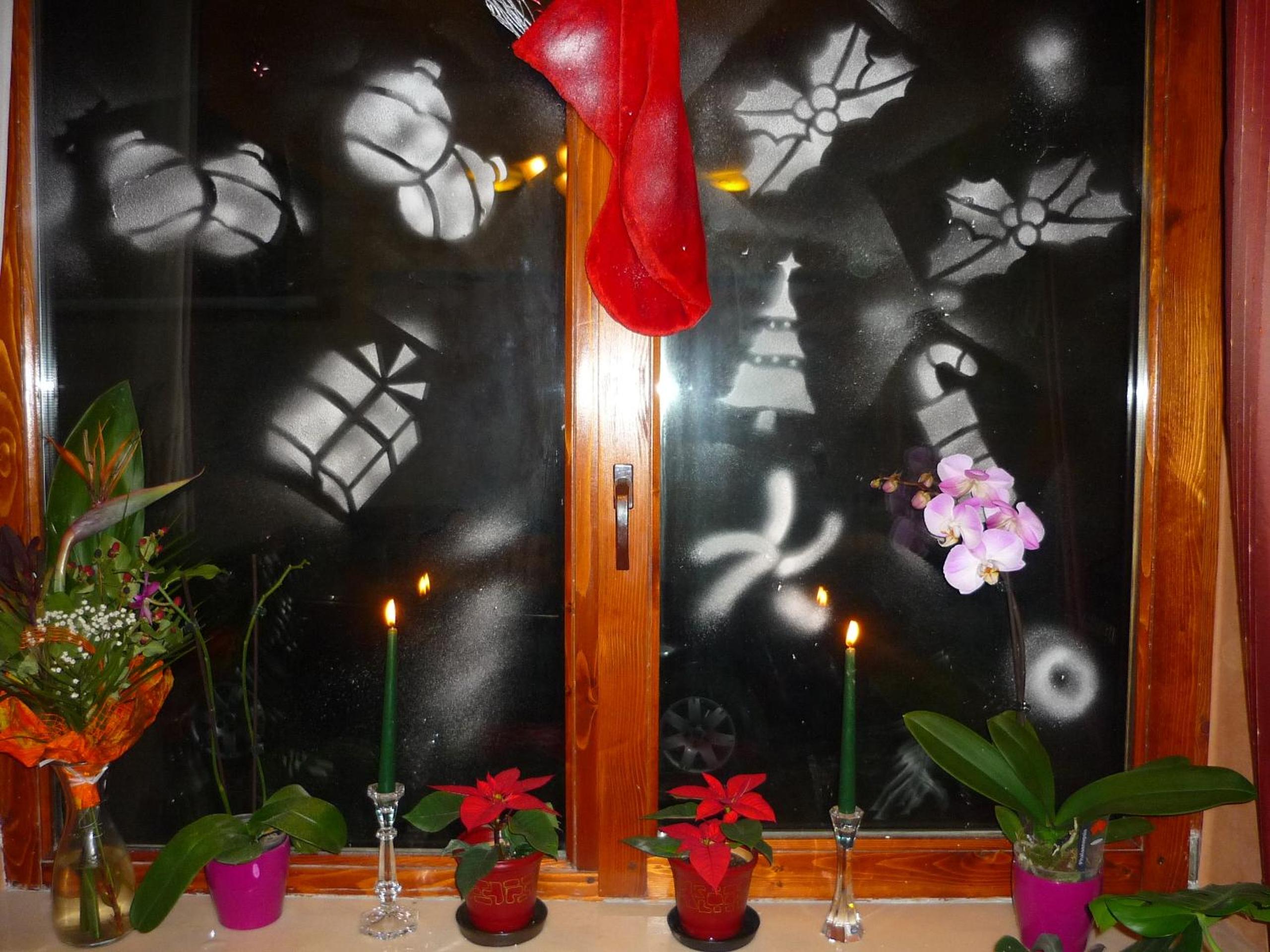 Photo 43